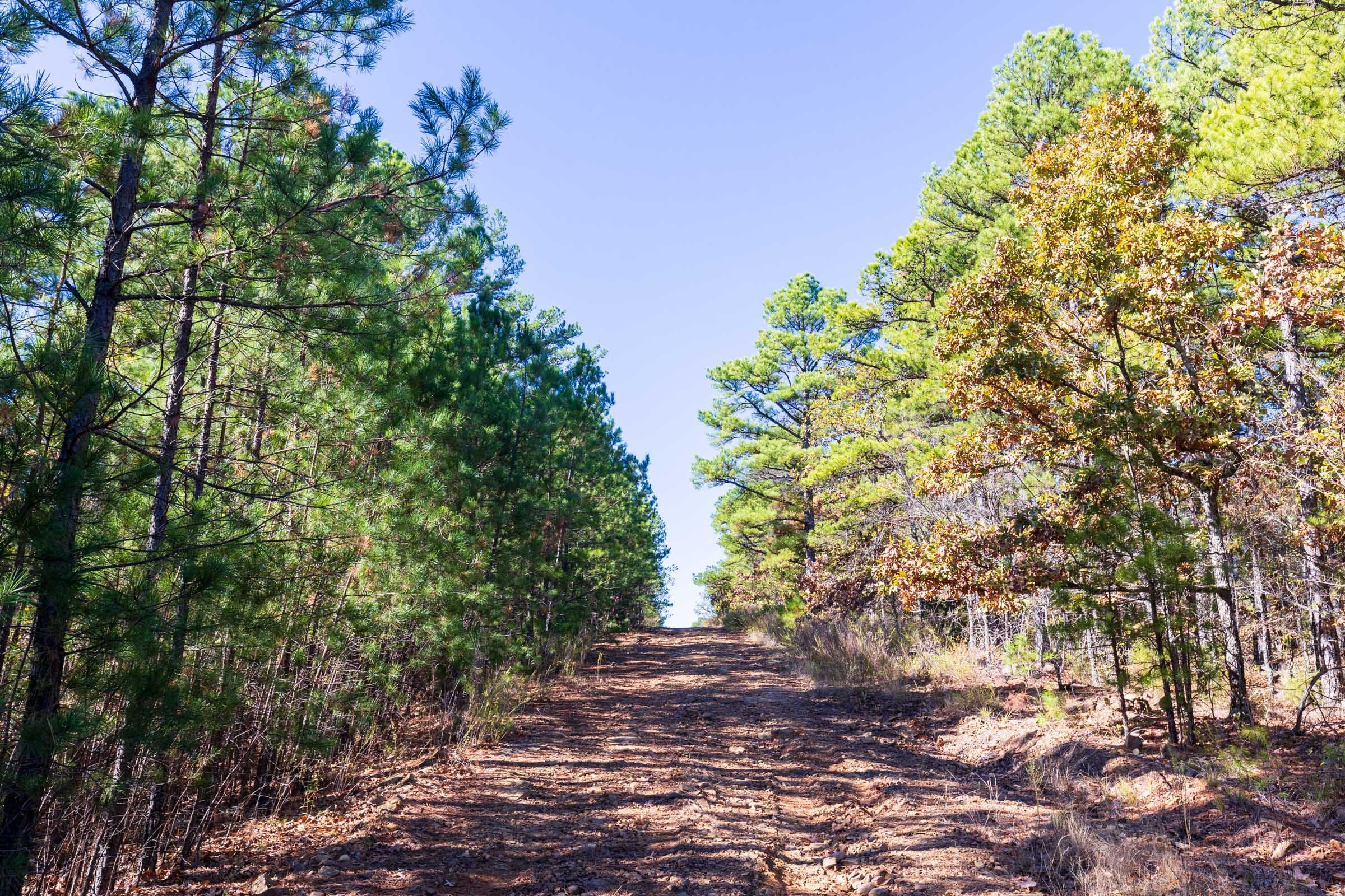 Stone Bridge Reserve Tract 22 photo 1