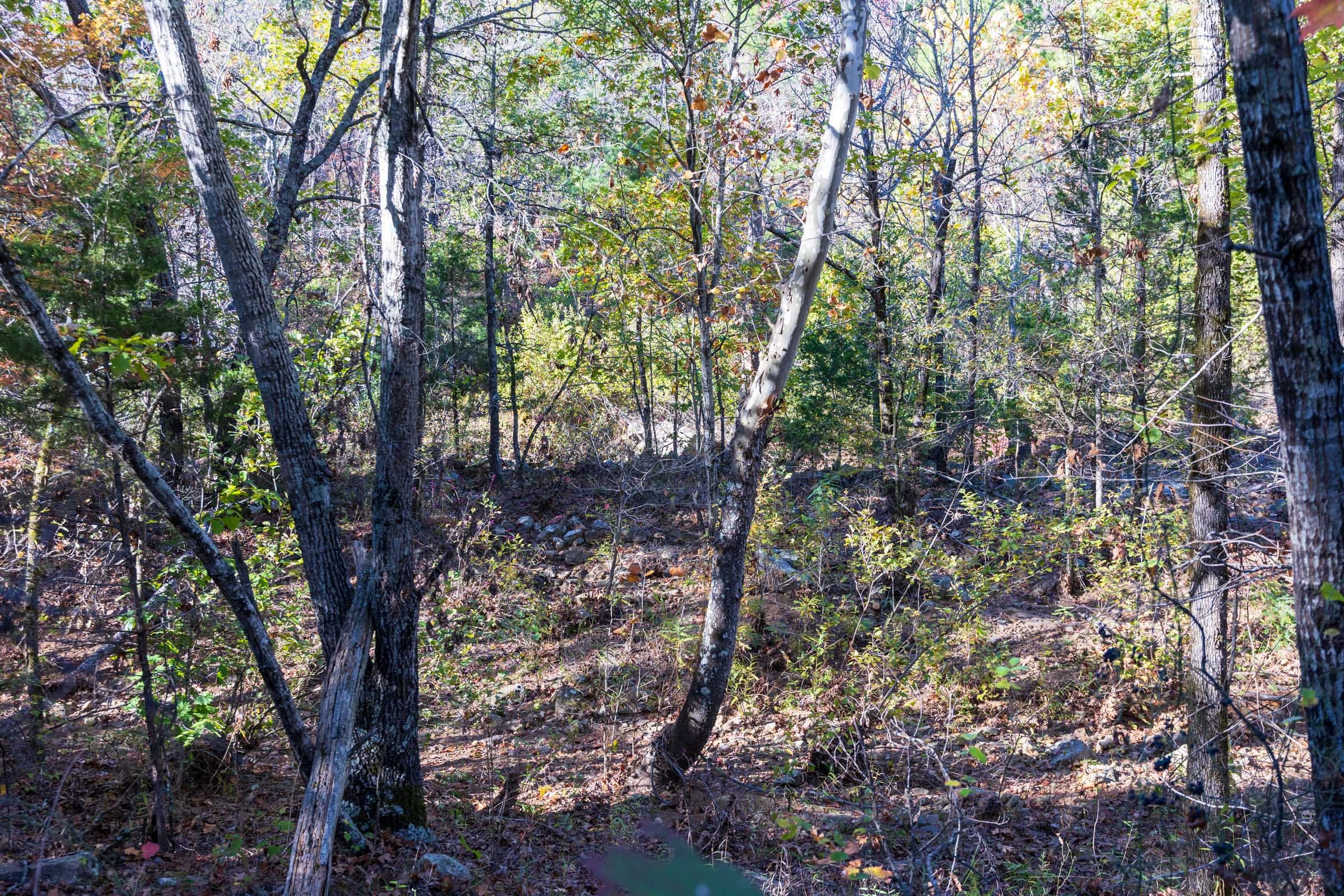 Stone Bridge Reserve Tract 22 photo 11