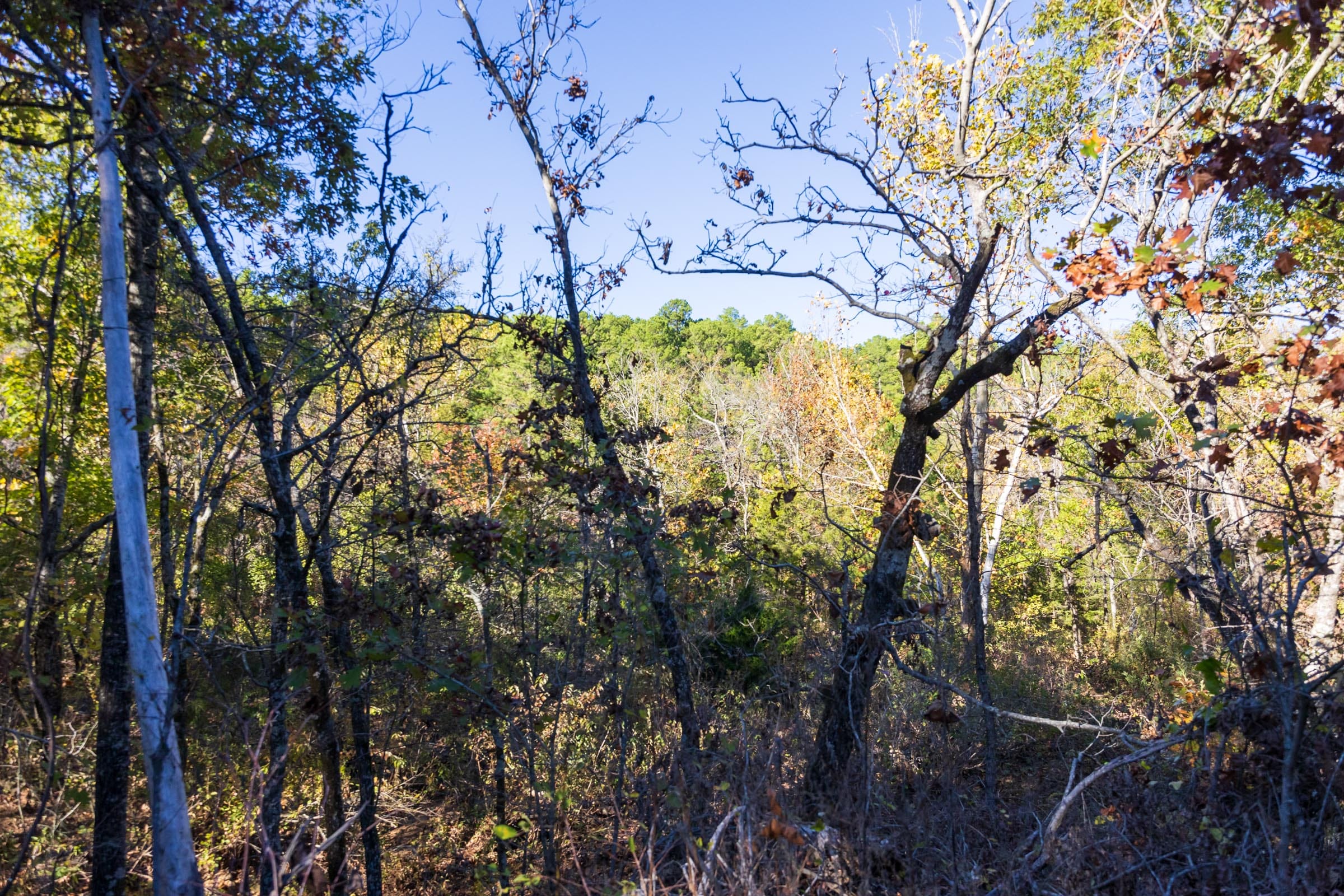 Stone Bridge Reserve Tract 22 photo 8