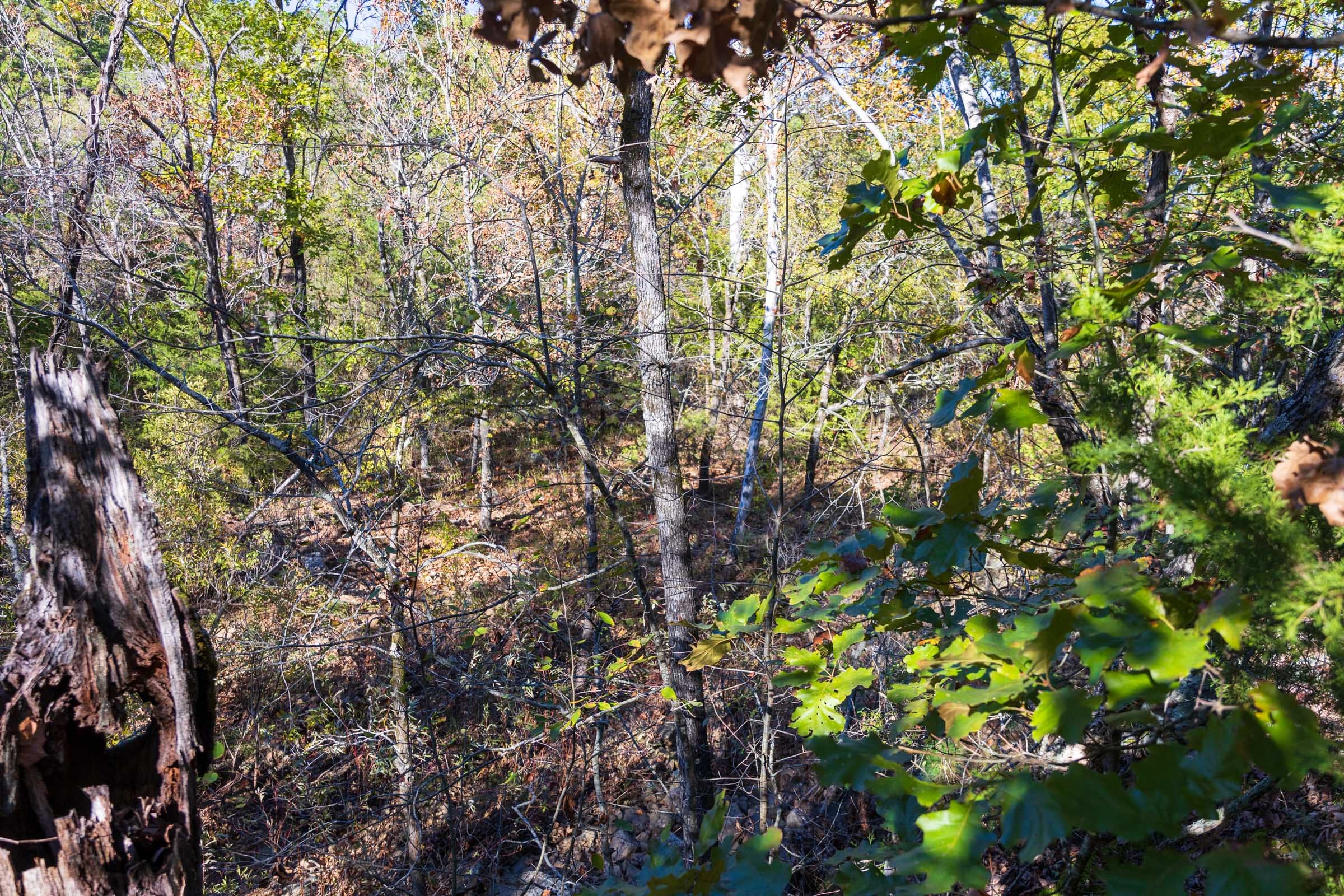 Stone Bridge Reserve Tract 22 photo 10