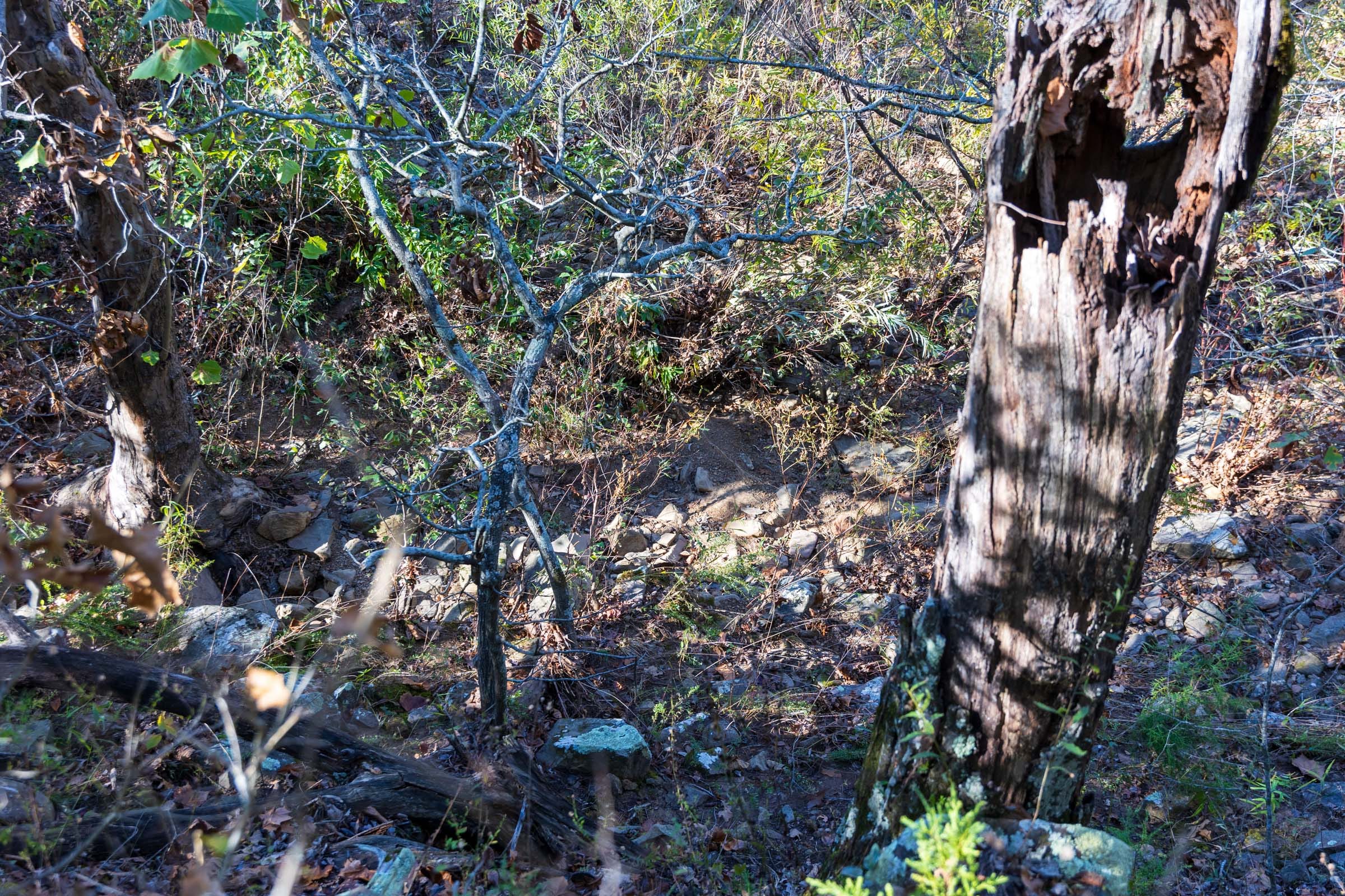 Stone Bridge Reserve Tract 22 photo 7