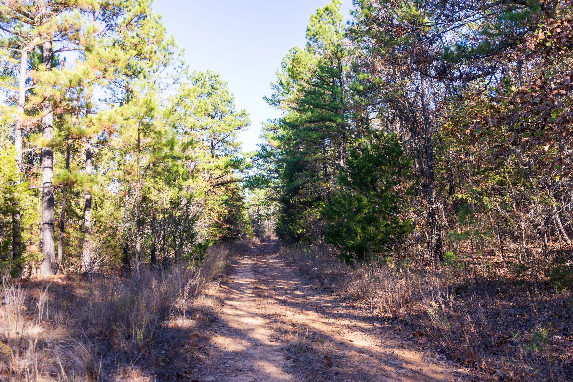 Stone Bridge Reserve Tract 22 photo 6