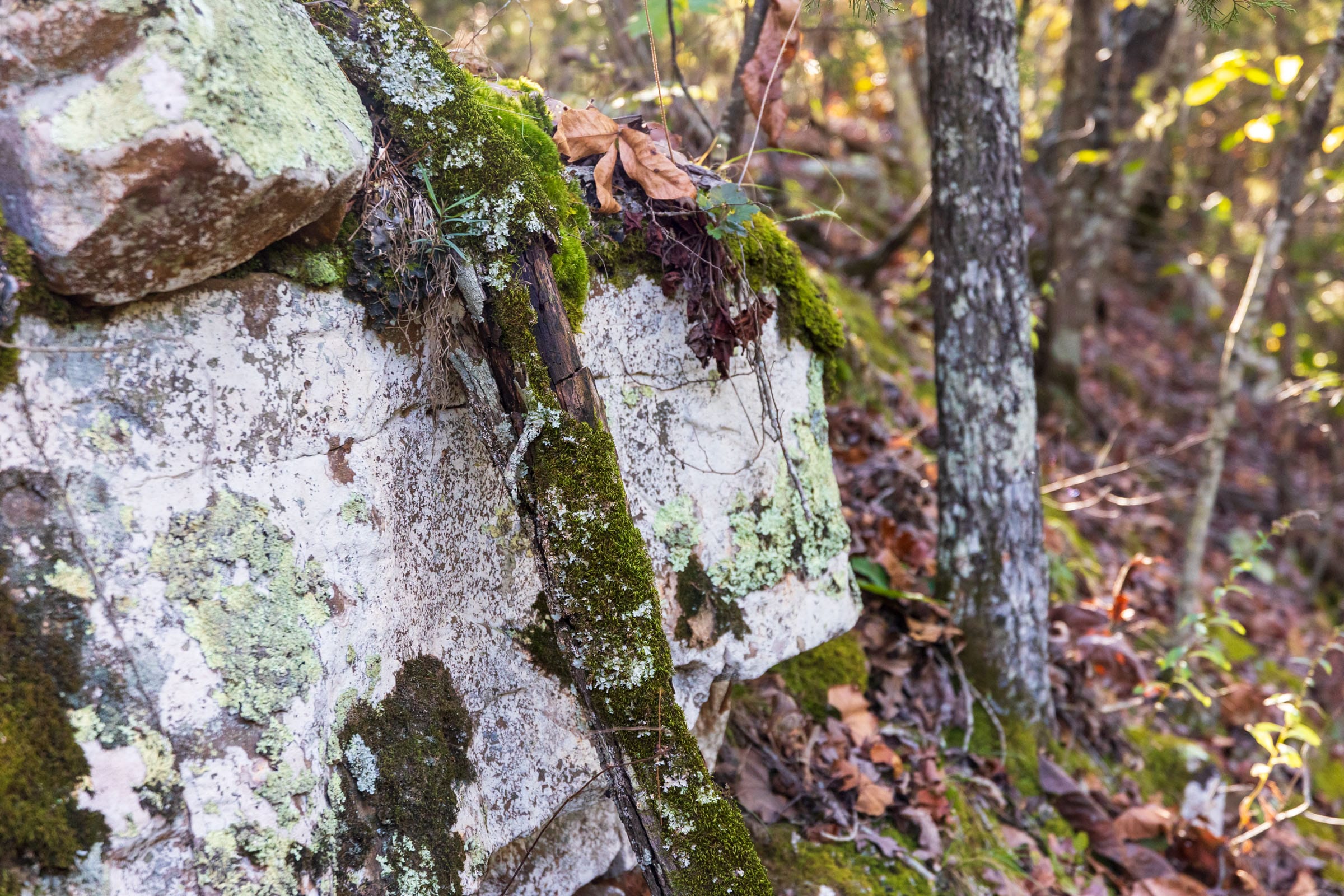 Stone Bridge Reserve Tract 22 photo 3