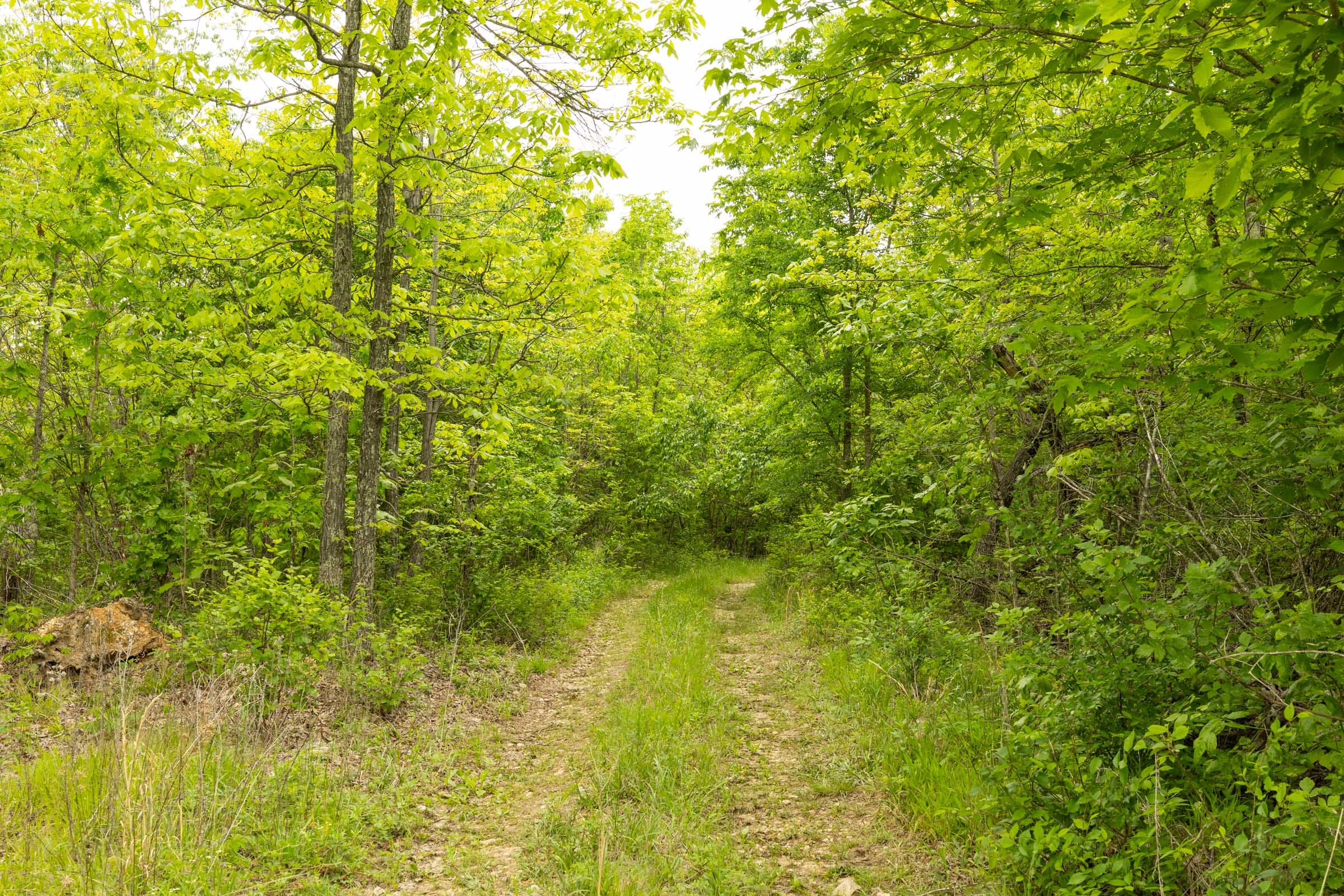 Double S Ranch Tract 1 photo 12