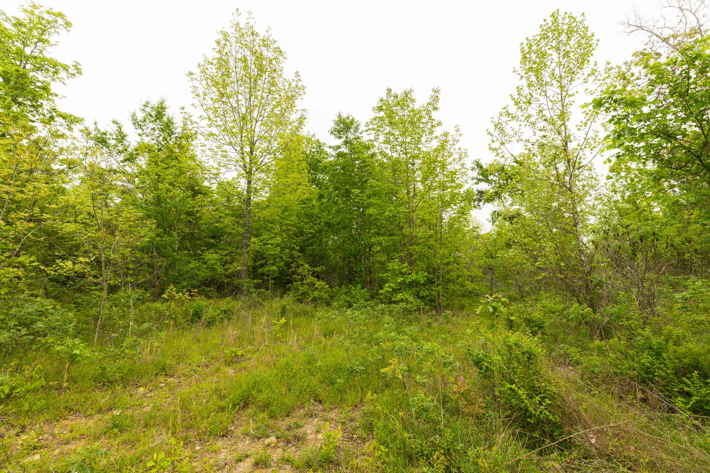Double S Ranch Tract 1 photo 4