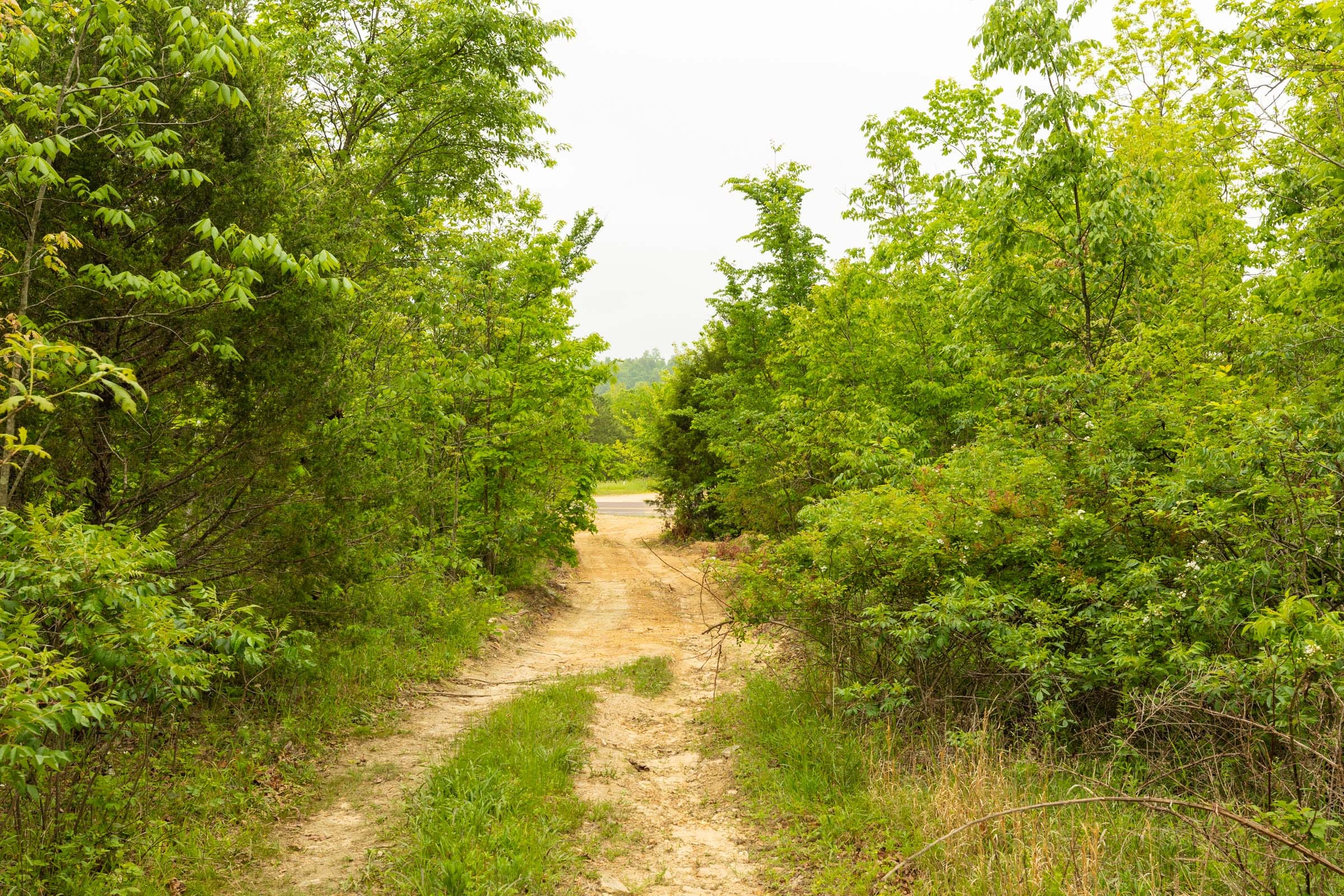 Double S Ranch Tract 1 photo 5