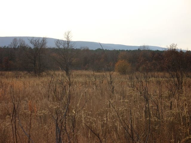 Mountain View Ranch Tract 6 photo 6