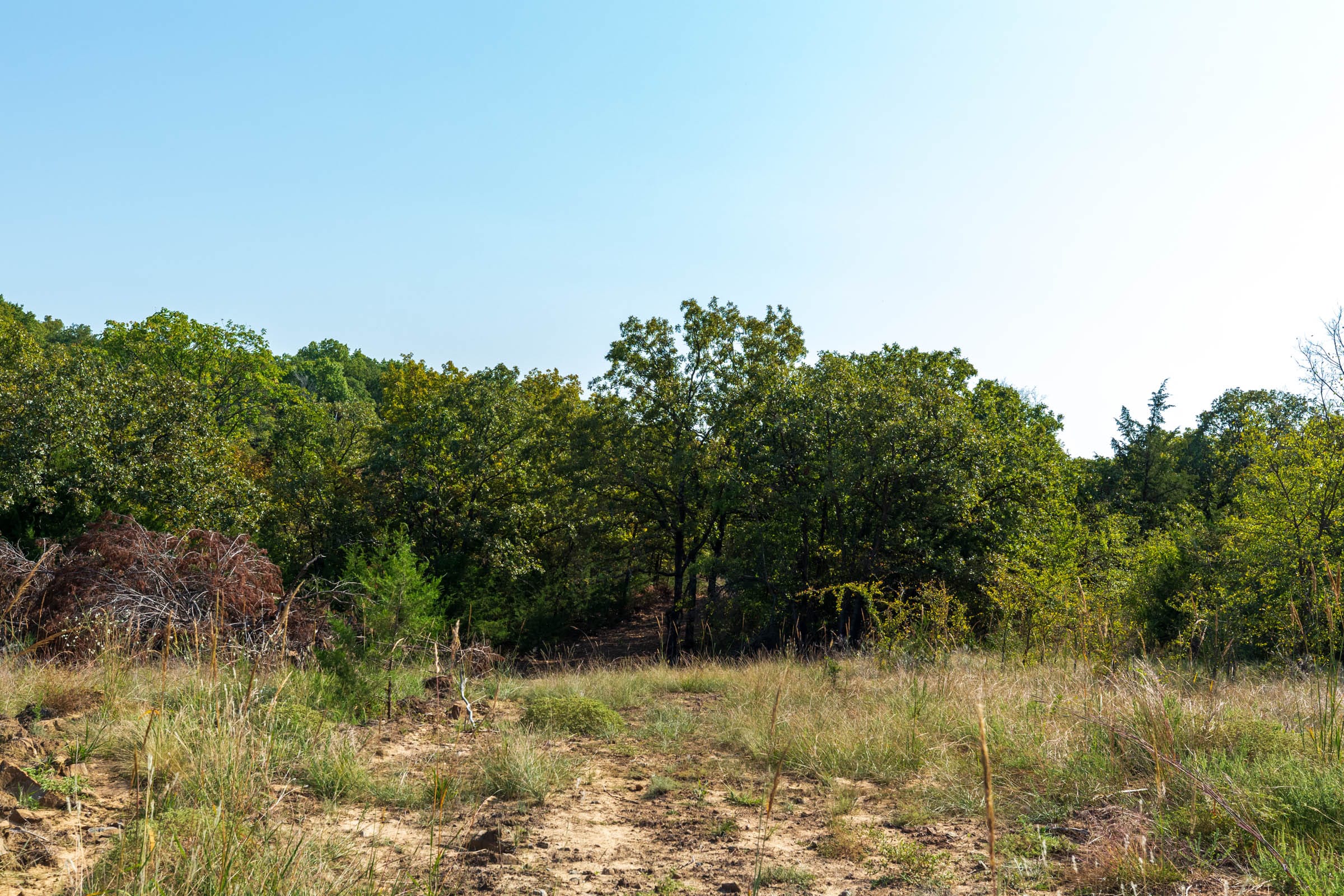 Canyon Creek Tract 22 photo 9
