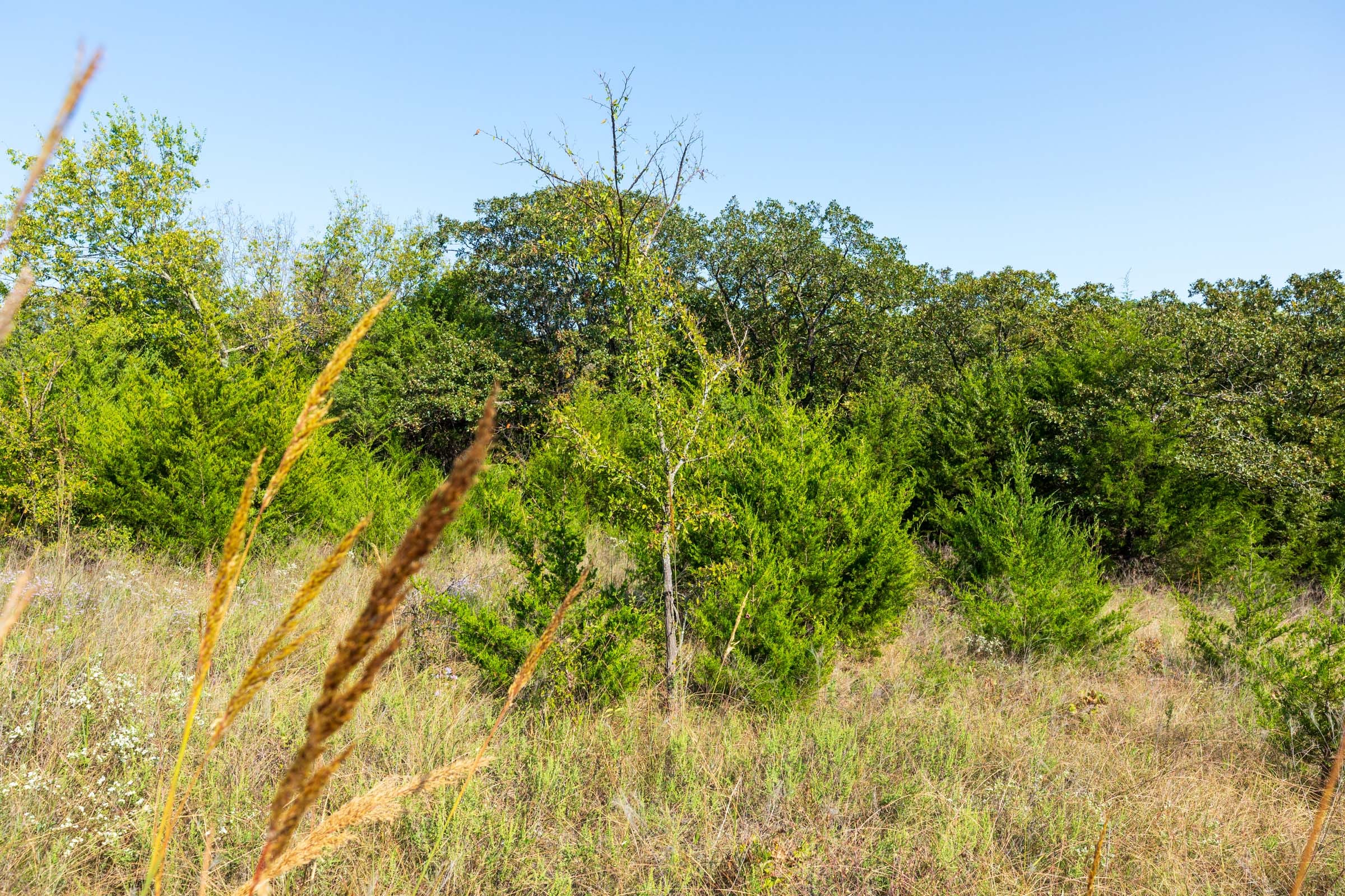 Canyon Creek Tract 22 photo 4