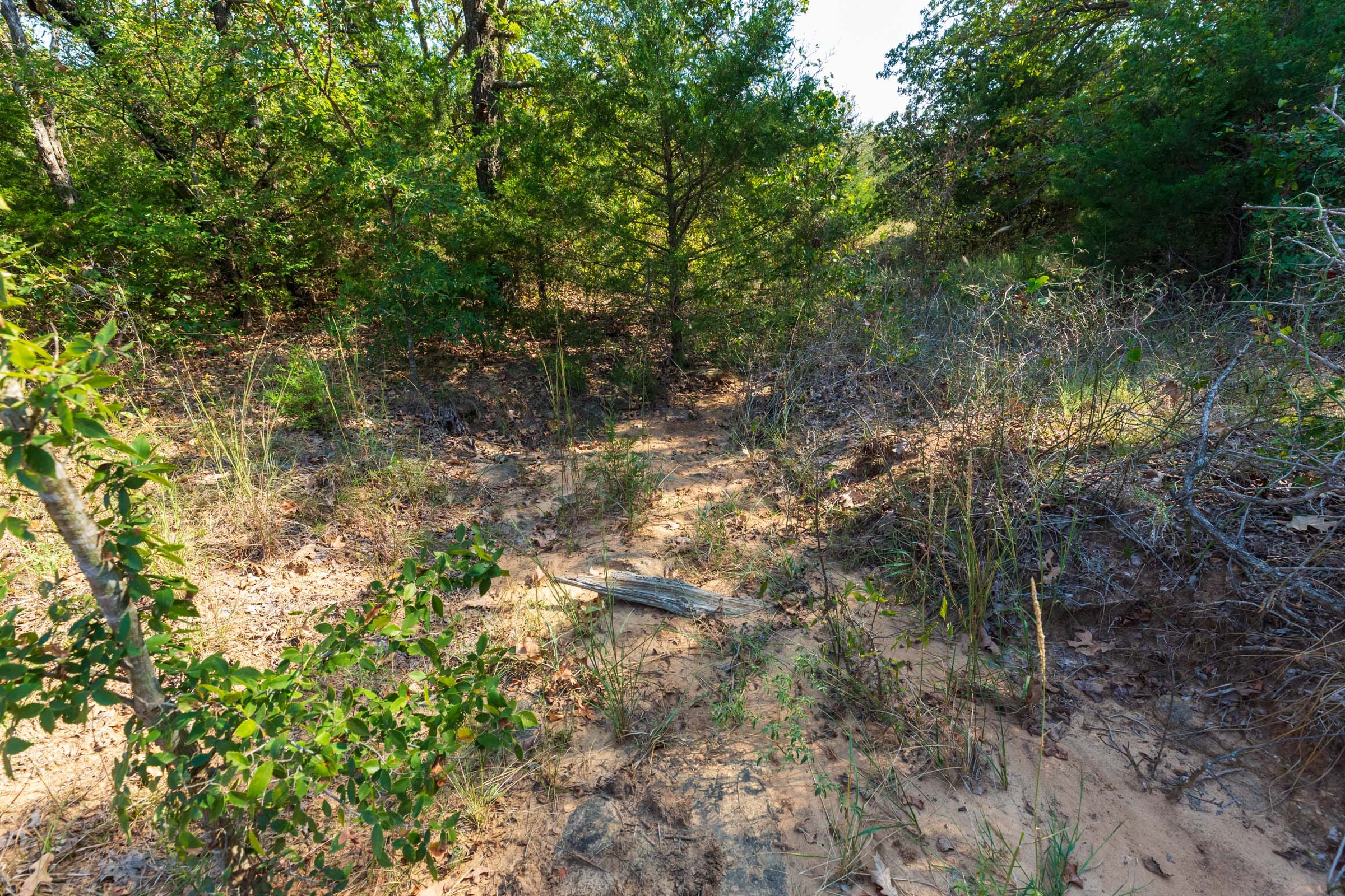 Canyon Creek Tract 22 photo 1