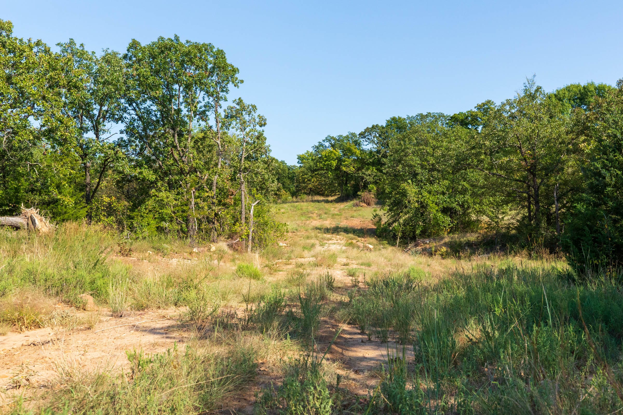 Canyon Creek Tract 22 photo 7