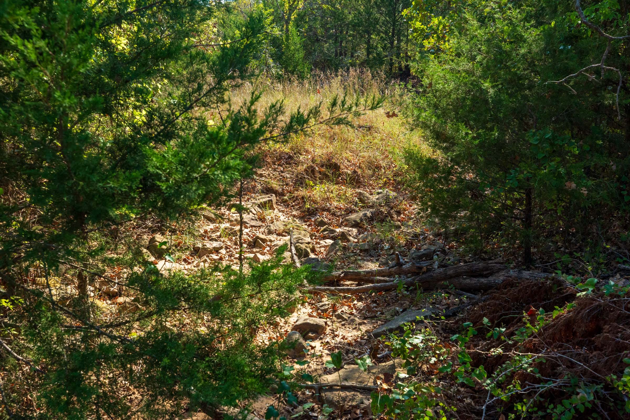 Canyon Creek Tract 22 photo 3