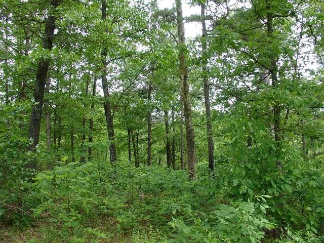Indian Creek Tract 10 photo 2