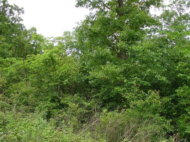 Indian Creek Tract 10 photo 3