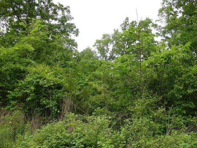 Indian Creek Tract 10 photo 4