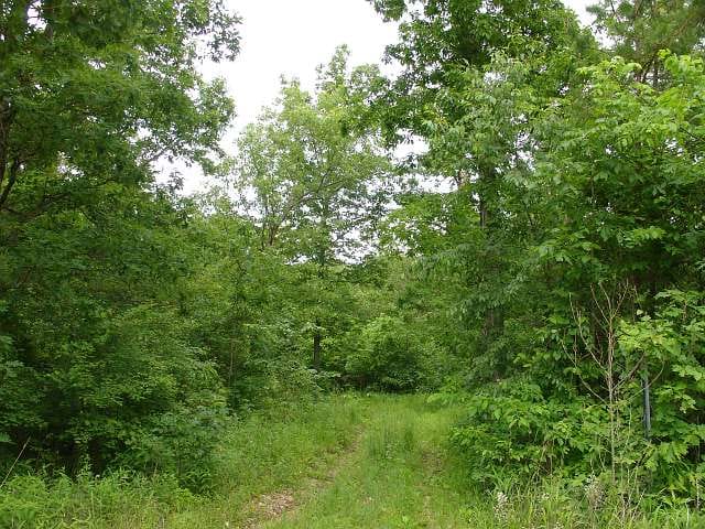 Indian Creek Tract 10 photo 5