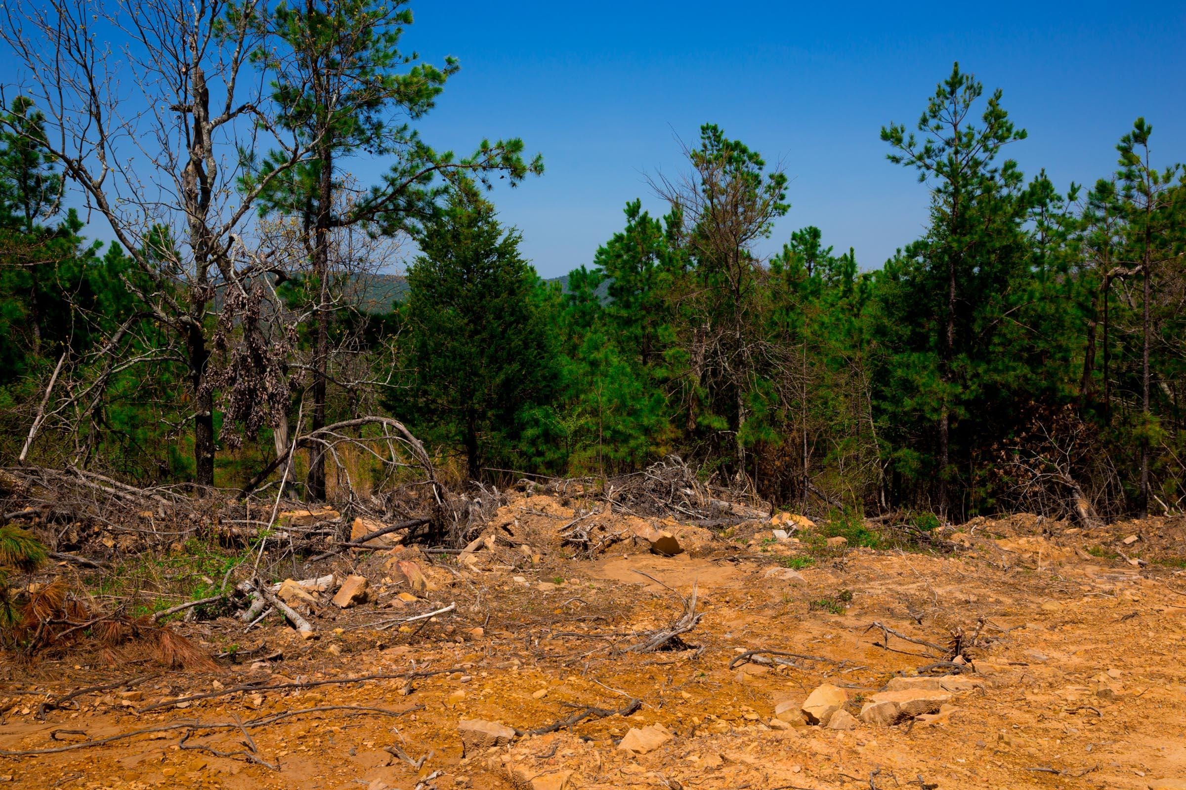 Stone Creek Phase II Tract 242 photo 3