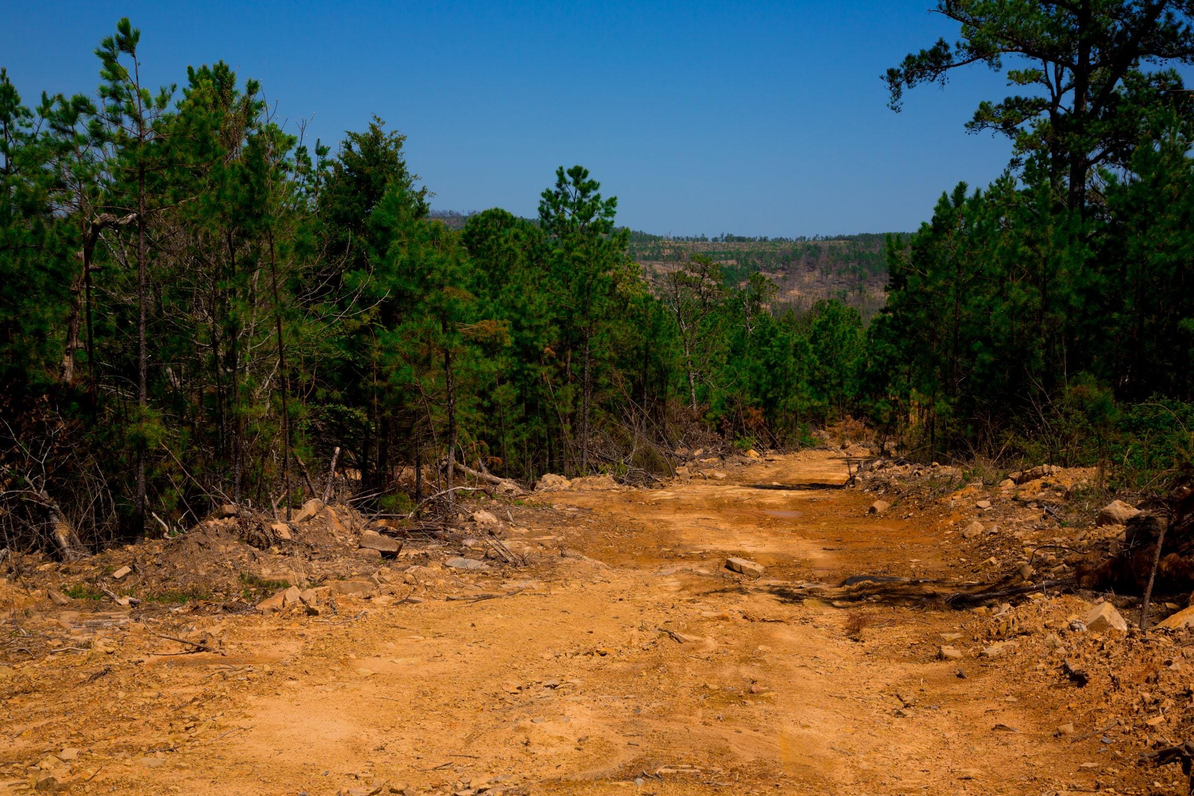 Stone Creek Phase II Tract 242 photo 4
