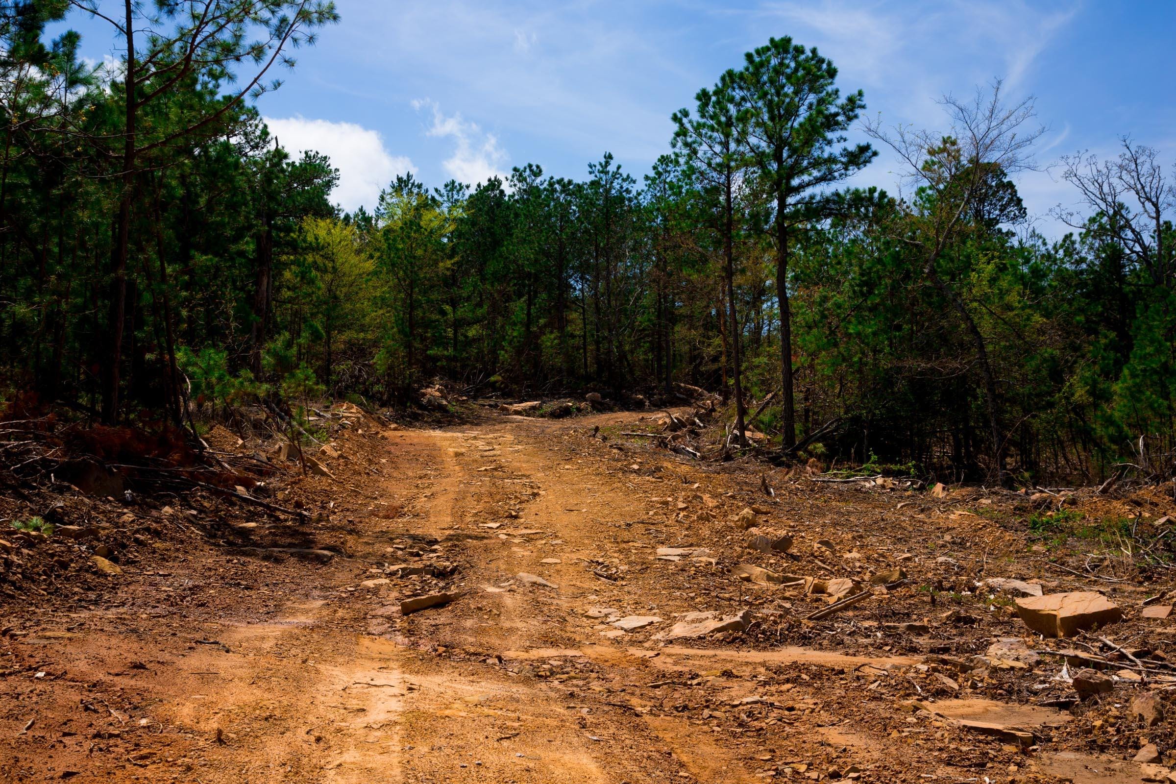 Stone Creek Phase II Tract 242 photo 6