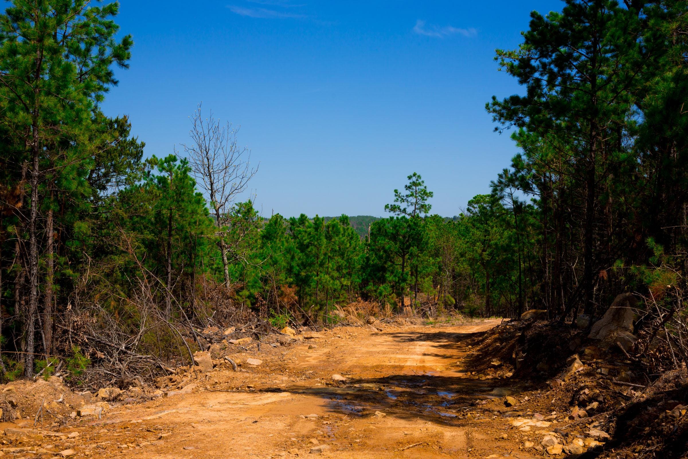 Stone Creek Phase II Tract 242 photo 8