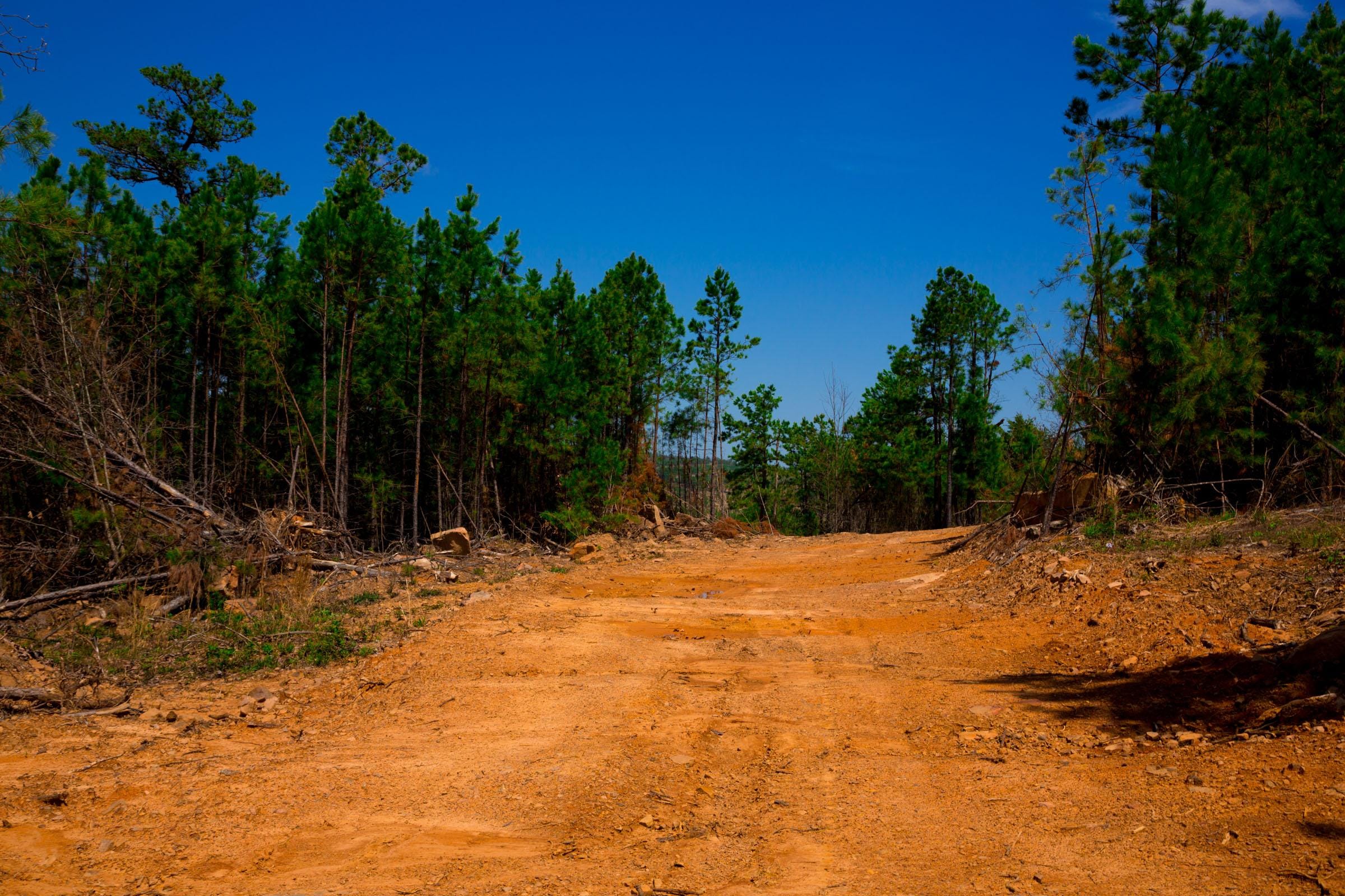 Stone Creek Phase II Tract 242 photo 9