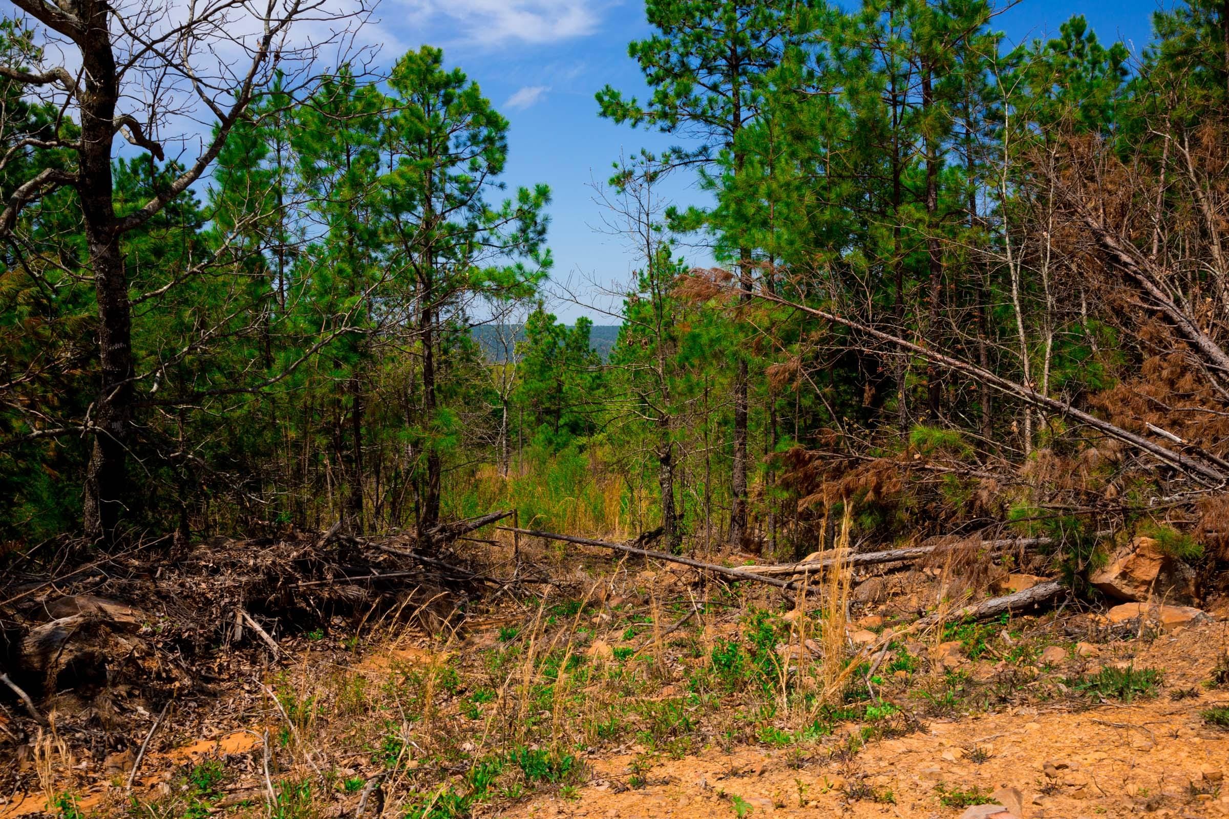 Stone Creek Phase II Tract 242 photo 5