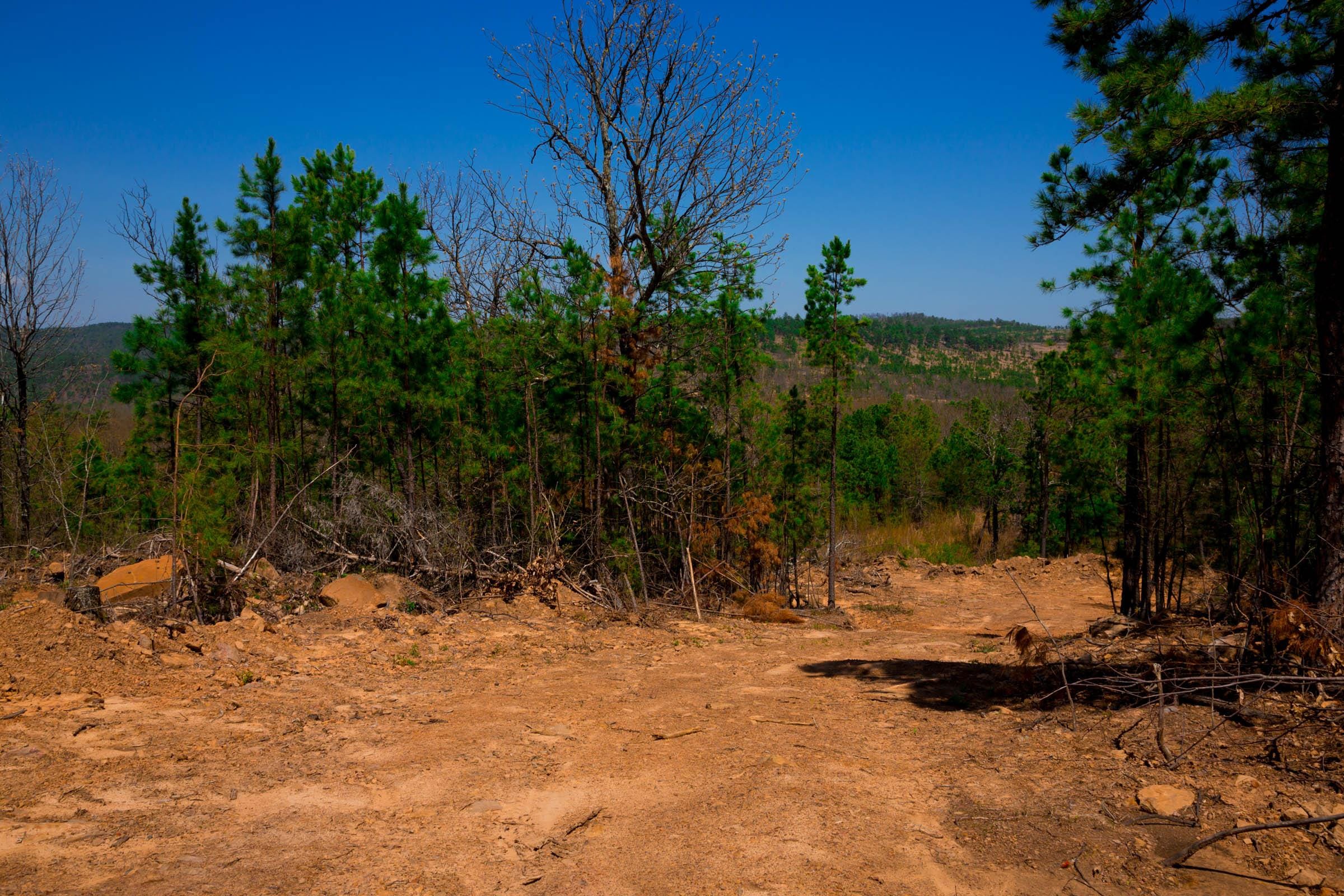 Stone Creek Phase II Tract 242 photo 10