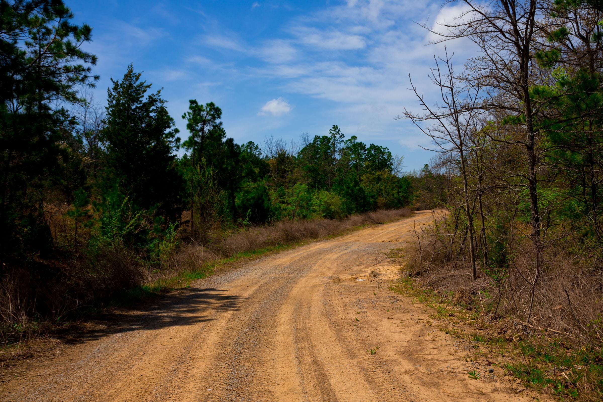 Stone Creek Phase II Tract 242 photo 2