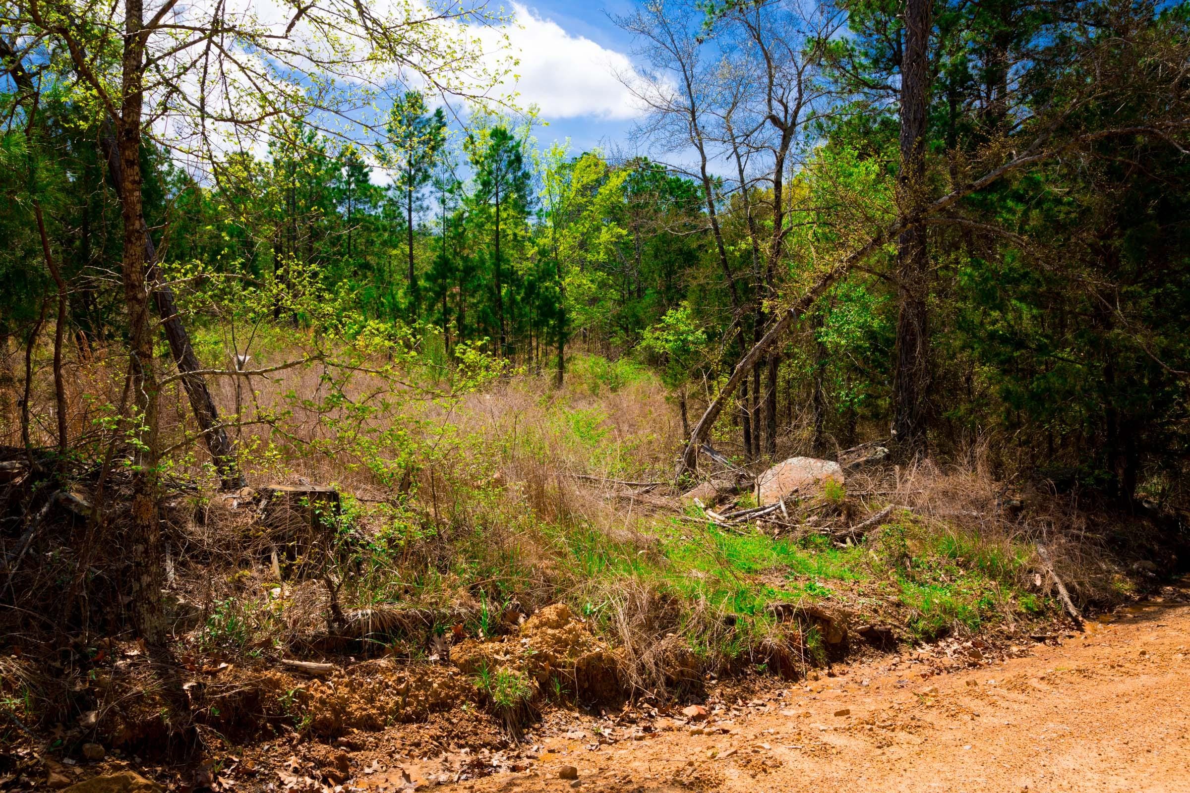 Stone Creek Phase II Tract 242 photo 7