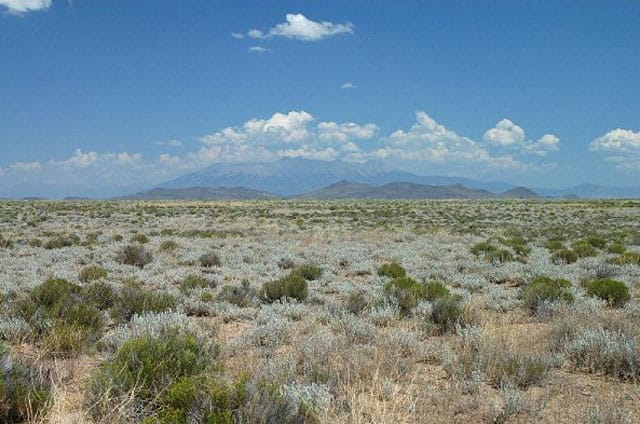 San Luis Valley Ranches Tract 12 photo 7