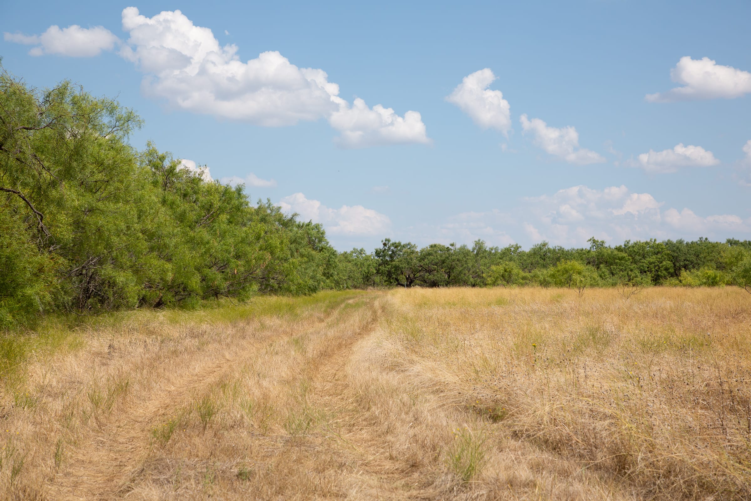 Hunter’s Ranch Tract 17 photo 1