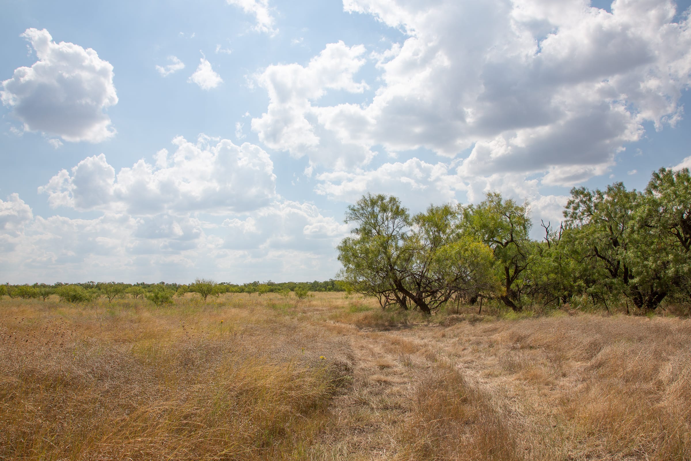 Hunter’s Ranch Tract 17 photo 3