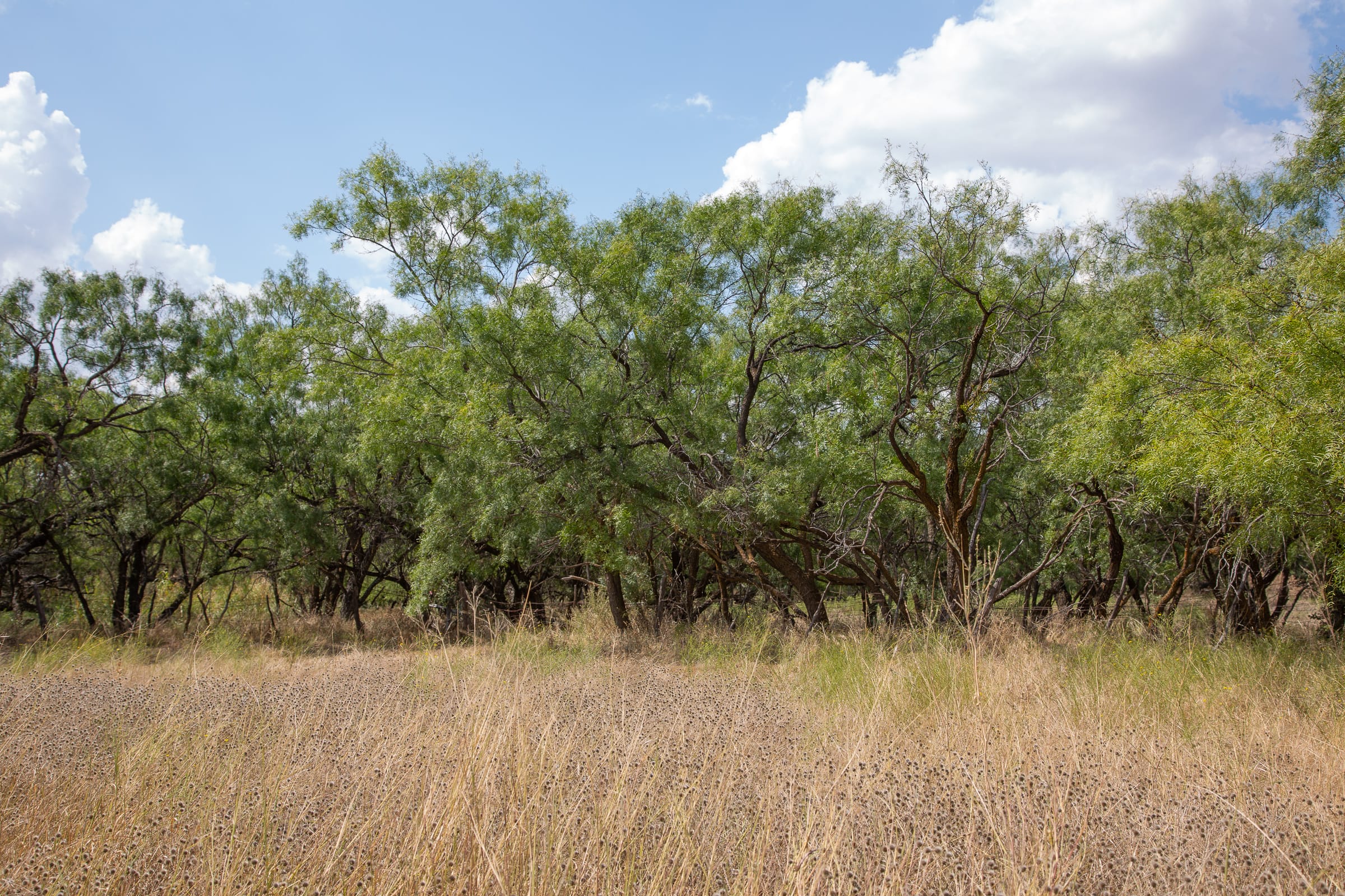 Hunter’s Ranch Tract 17 photo 4