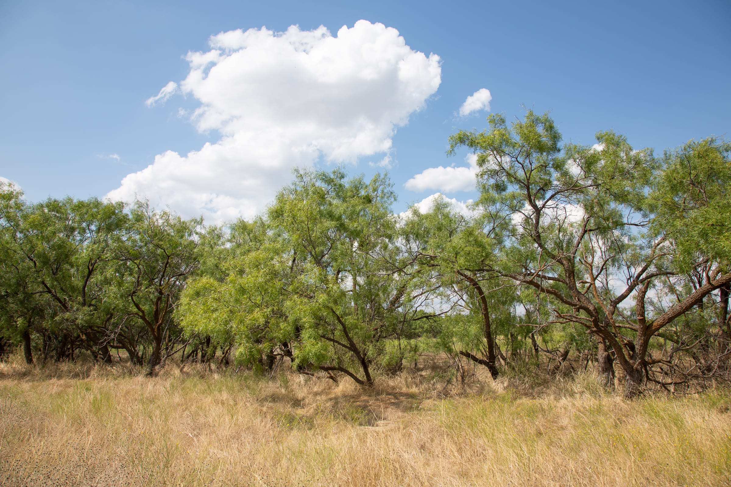 Hunter’s Ranch Tract 17 photo 5