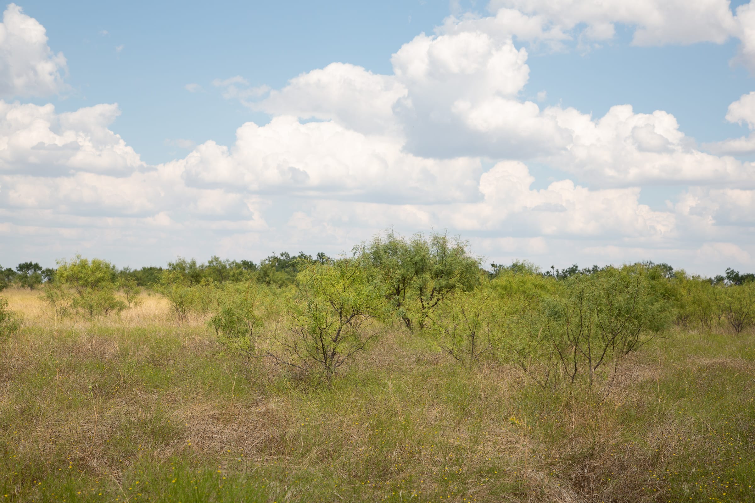 Hunter’s Ranch Tract 17 photo 7
