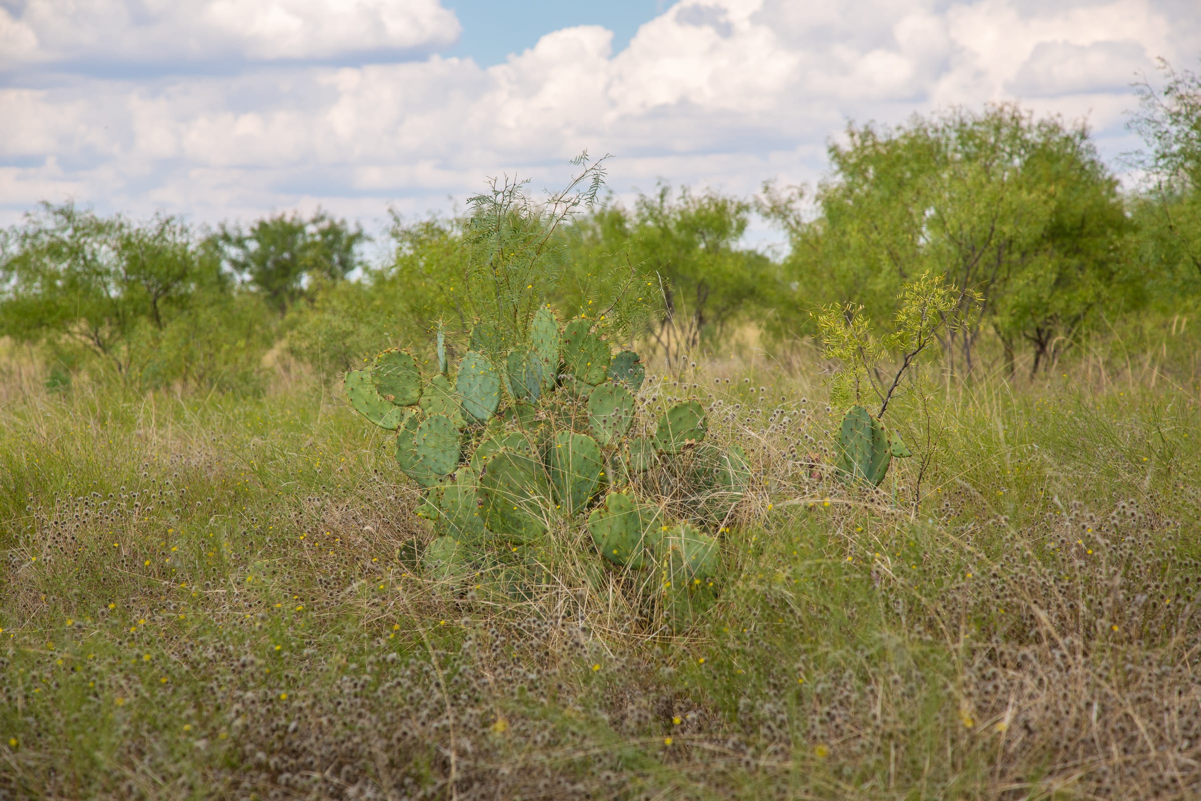 Hunter’s Ranch Tract 17 photo 8