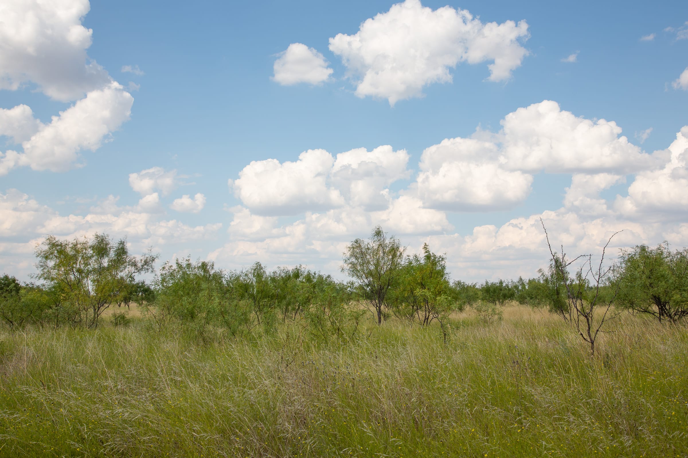 Hunter’s Ranch Tract 17 photo 9