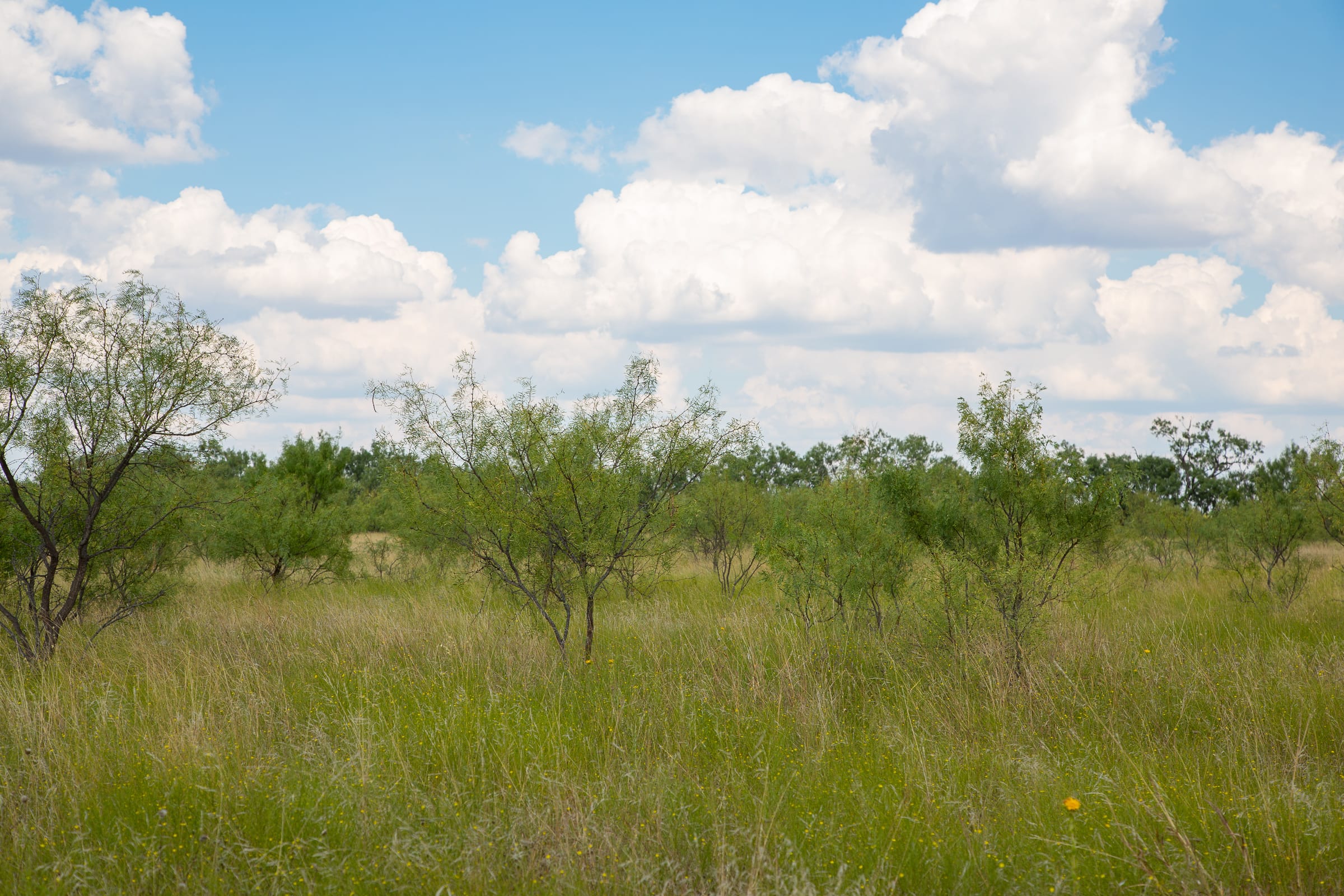Hunter’s Ranch Tract 17 photo 10