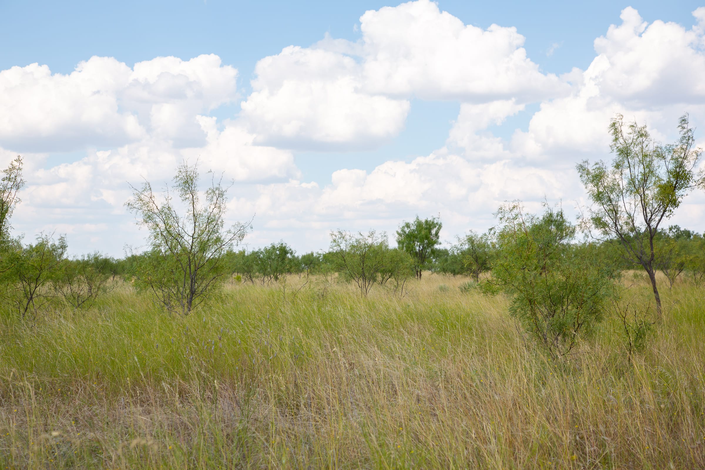 Hunter’s Ranch Tract 17 photo 11