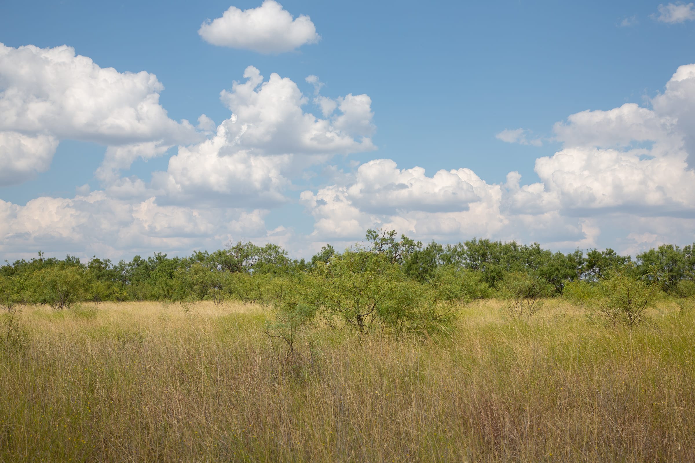 Hunter’s Ranch Tract 17 photo 12
