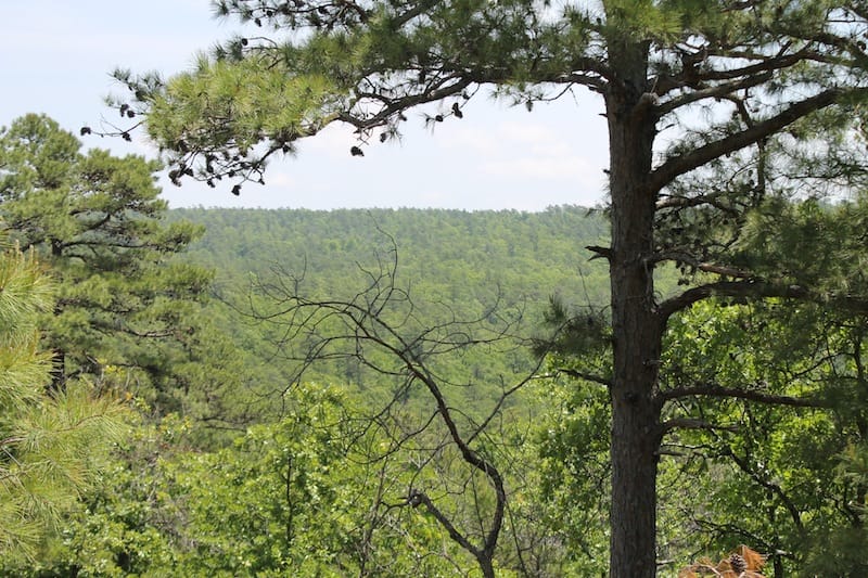 Indian Ridge – Phase II Tract 55 photo 2