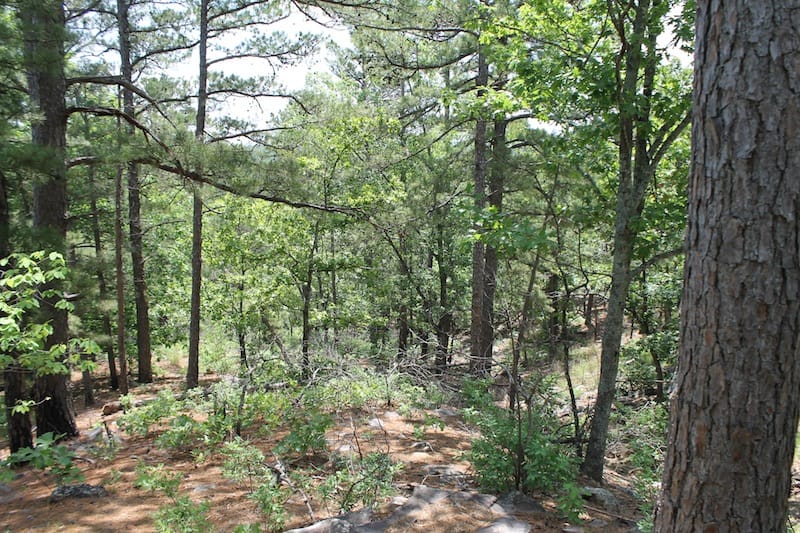 Indian Ridge – Phase II Tract 55 photo 4