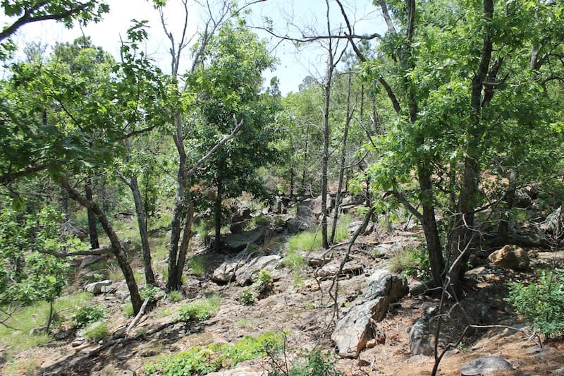Indian Ridge – Phase II Tract 55 photo 5