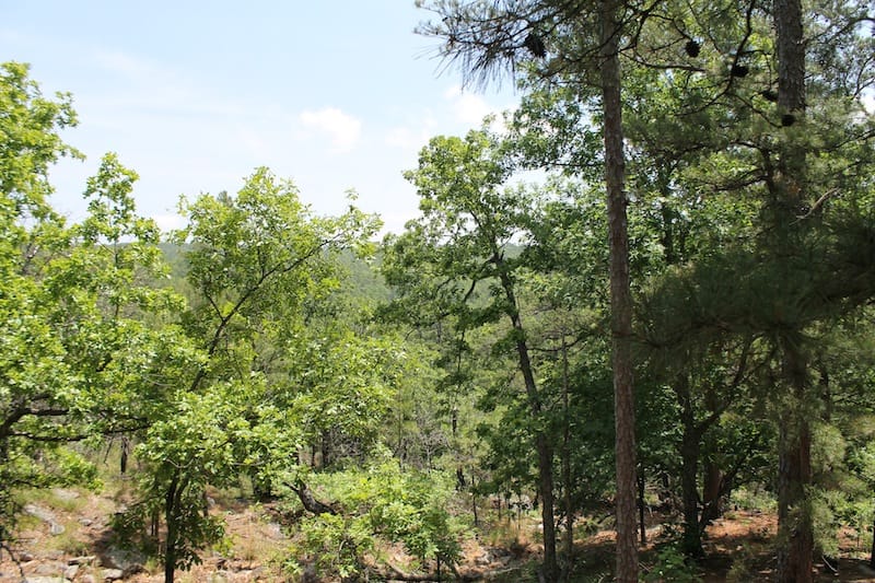 Indian Ridge – Phase II Tract 55 photo 8