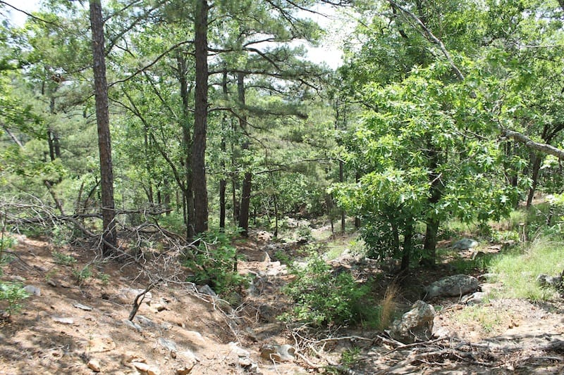 Indian Ridge – Phase II Tract 55 photo 9