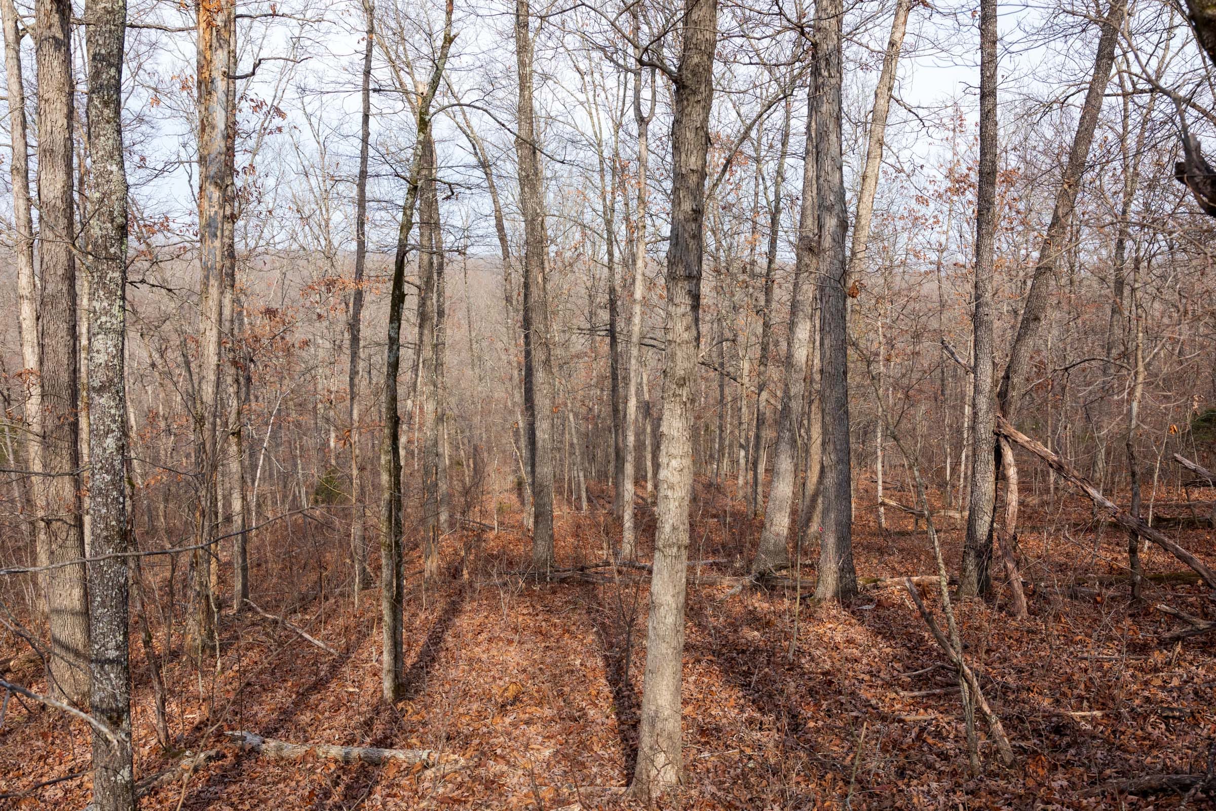 Crossroads Tract 23 photo 4