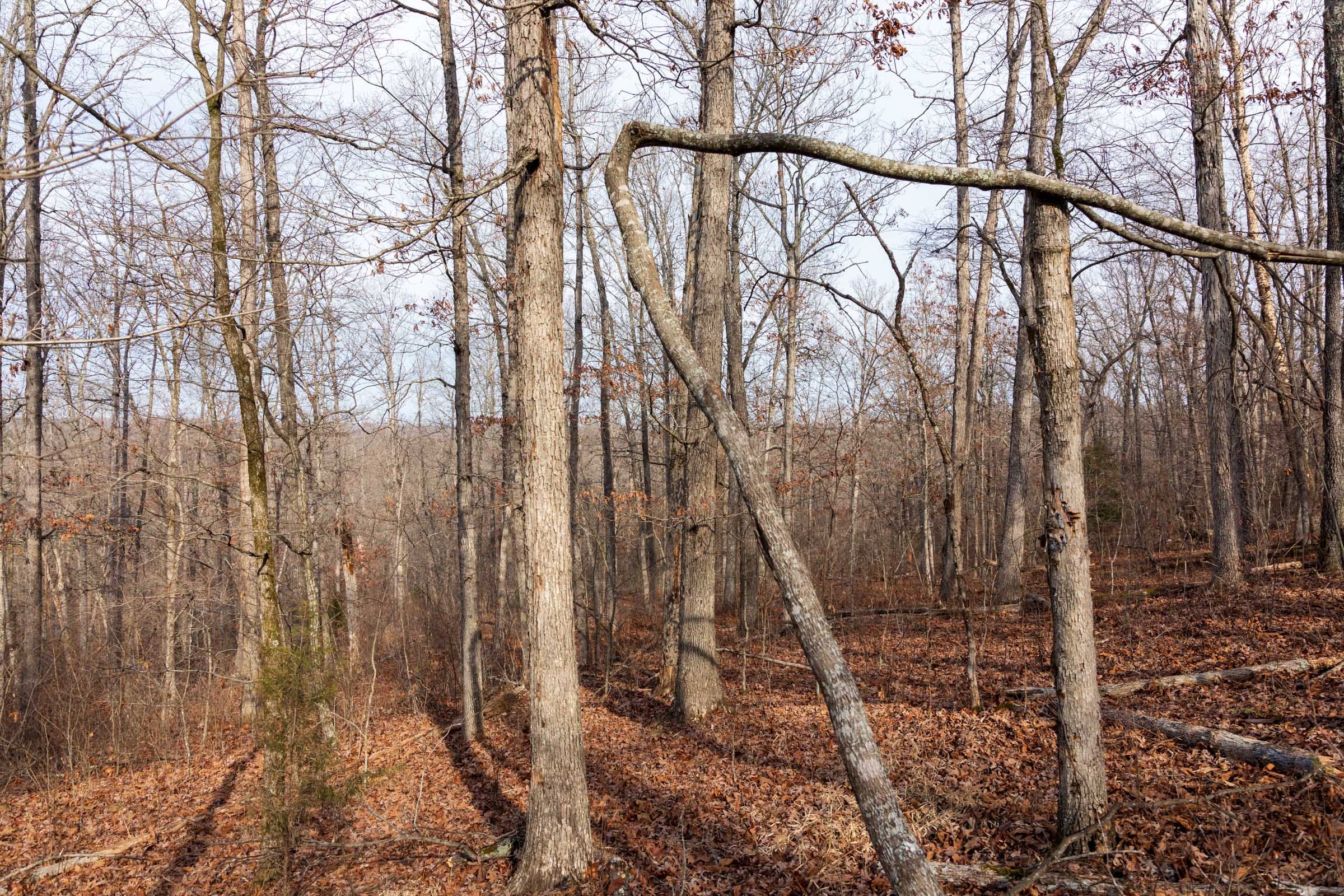 Crossroads Tract 23 photo 1