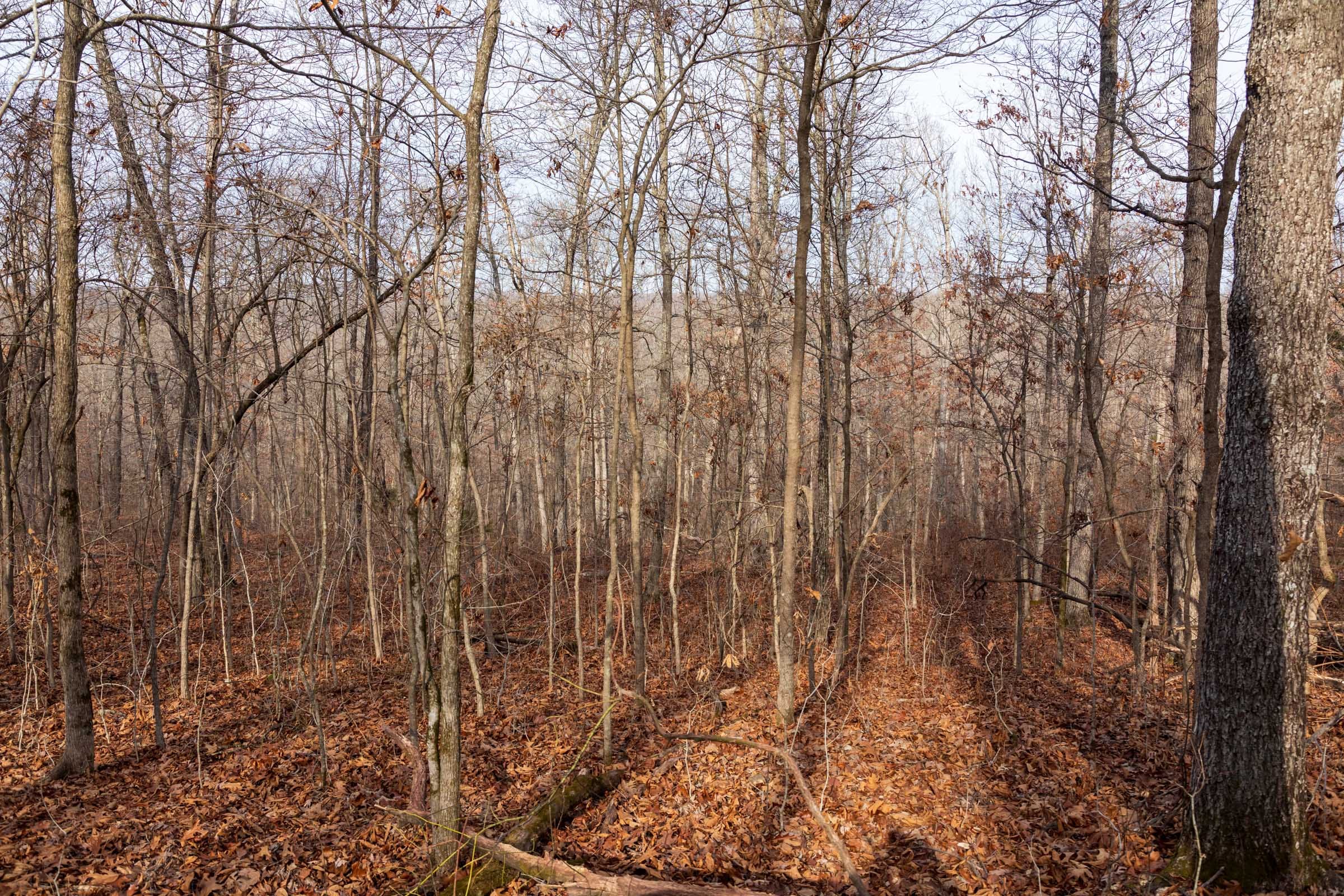Crossroads Tract 23 photo 6
