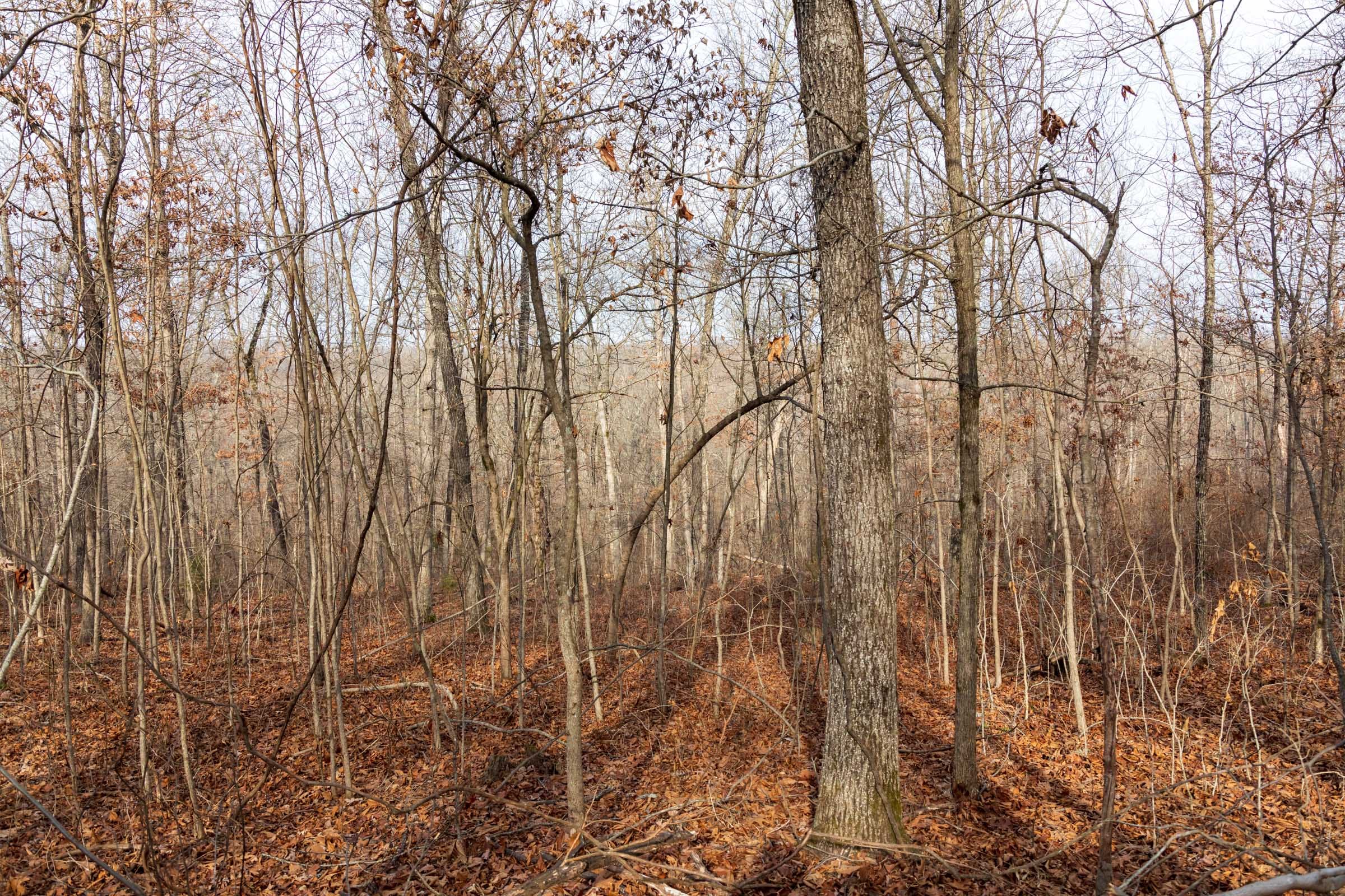 Crossroads Tract 23 photo 7