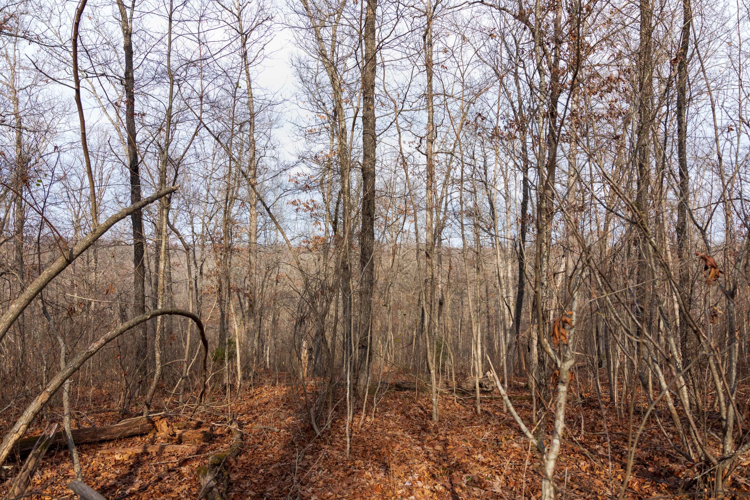 Crossroads Tract 23 photo 8